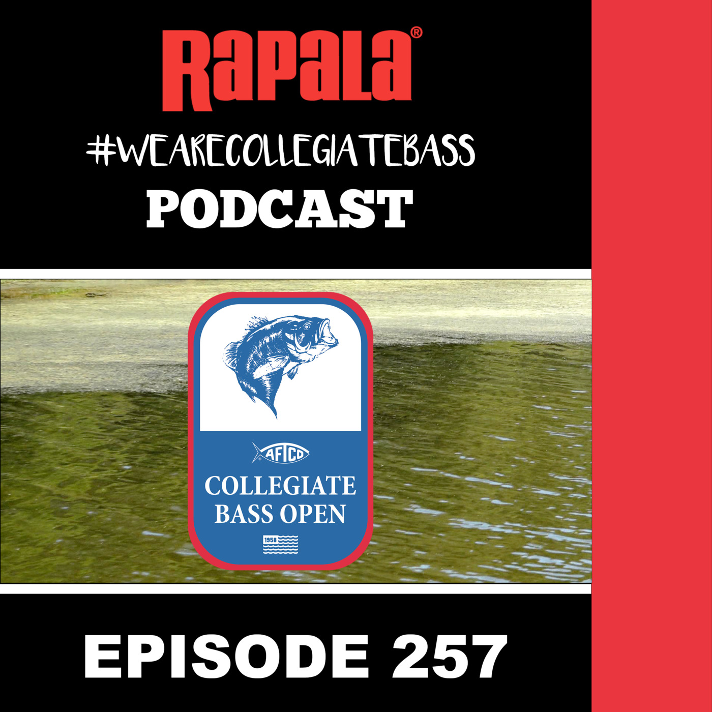 Episode 257: EP. 257 – Carson-Newman Anglers Talk Guntersville Victory, and Preview AFTCO Collegiate Bass Open