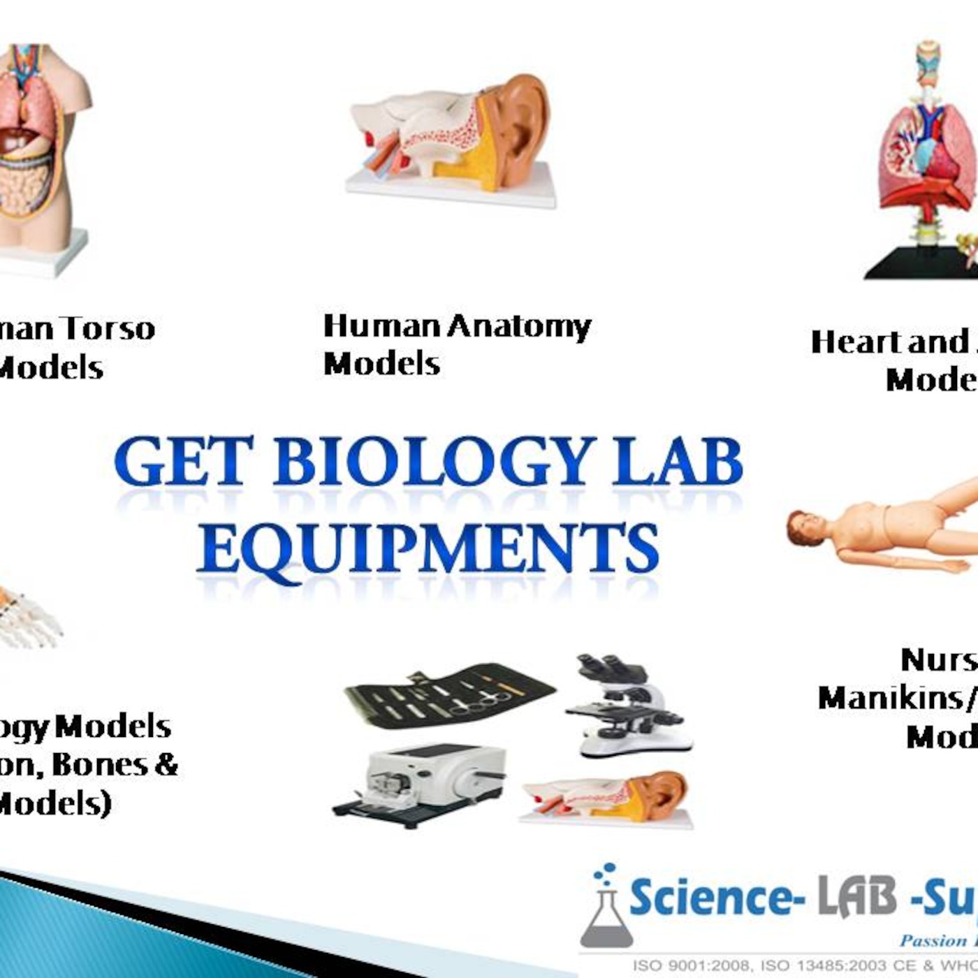 Educational Biology Lab Equipments Manufacturer & Exporter India
