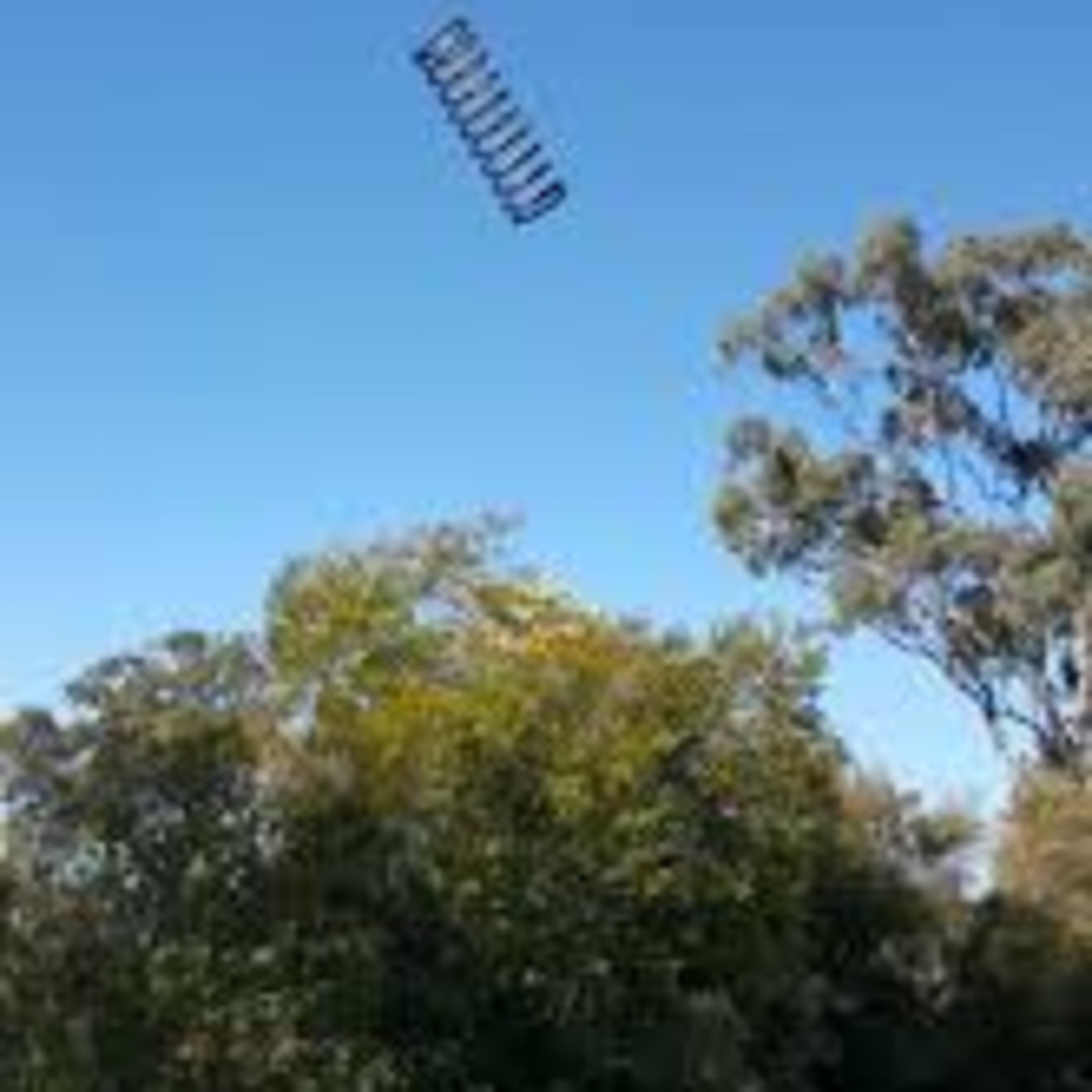 Episode 2: D.J. Simon S.. The Groundhog.. Episode 2: D.J. Simon S.. The Groundhog..