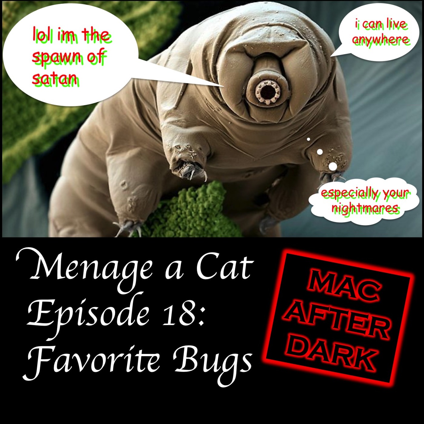 Menage a Cat Episode 18: Our Favorite Bugs