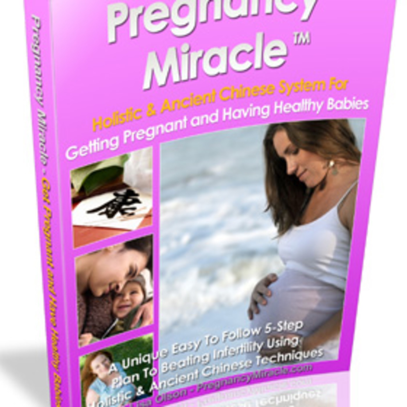 What Is Pregnancy Miracle? Just An Ebook? What Is Pregnancy Miracle? Just An Ebook?
