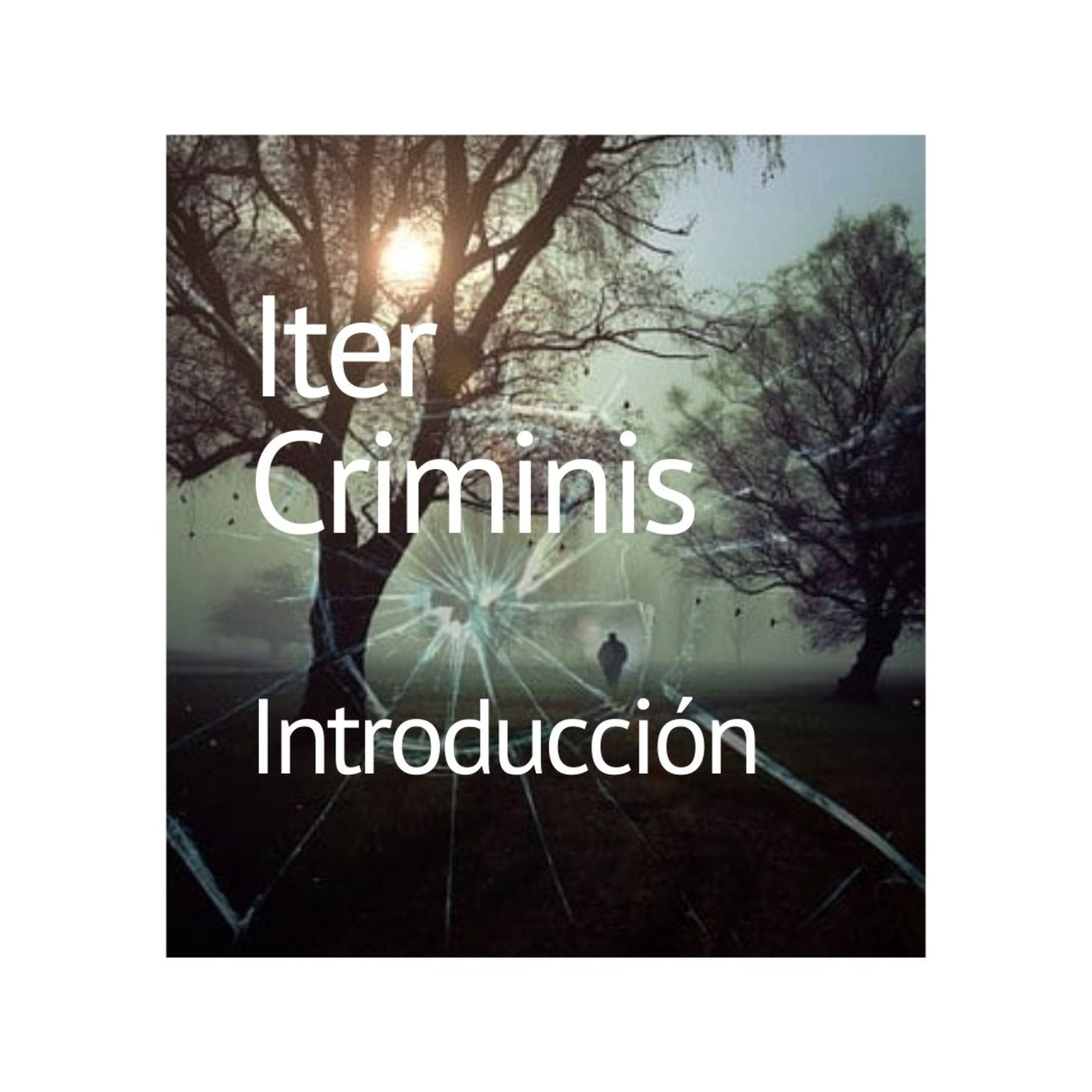 Iter Criminis. Camino del Delito