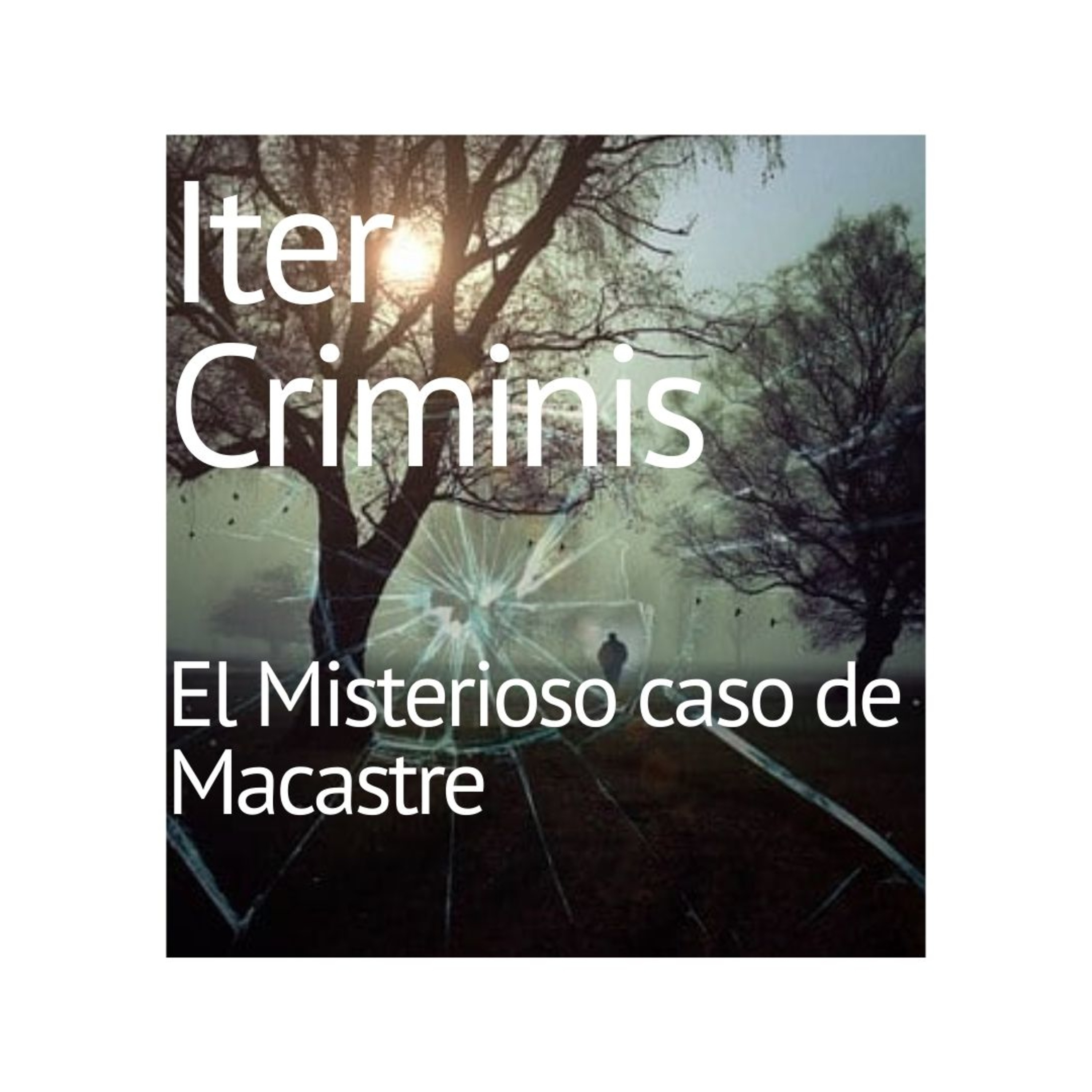 Iter Criminis. Camino del Delito