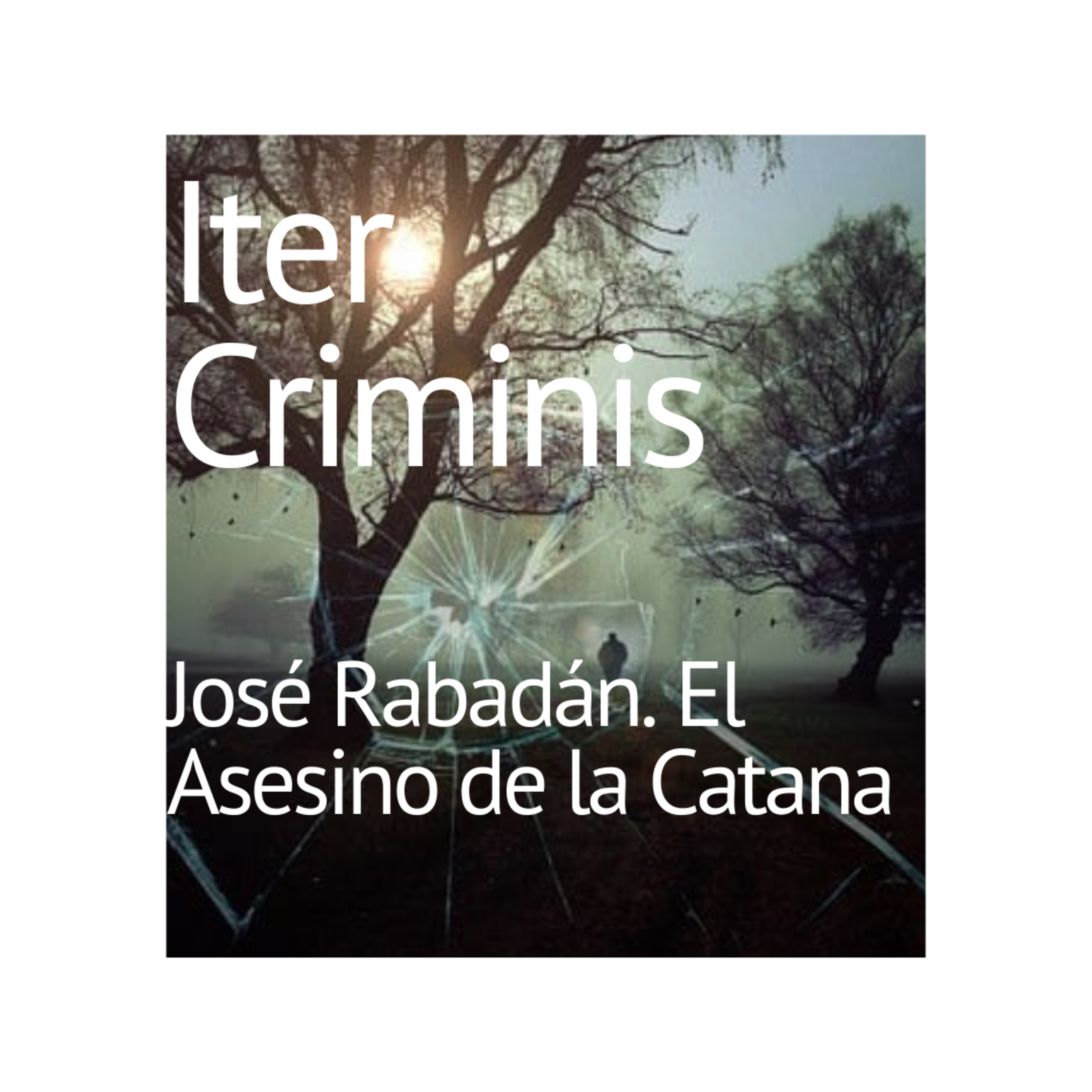 Iter Criminis. Camino del Delito