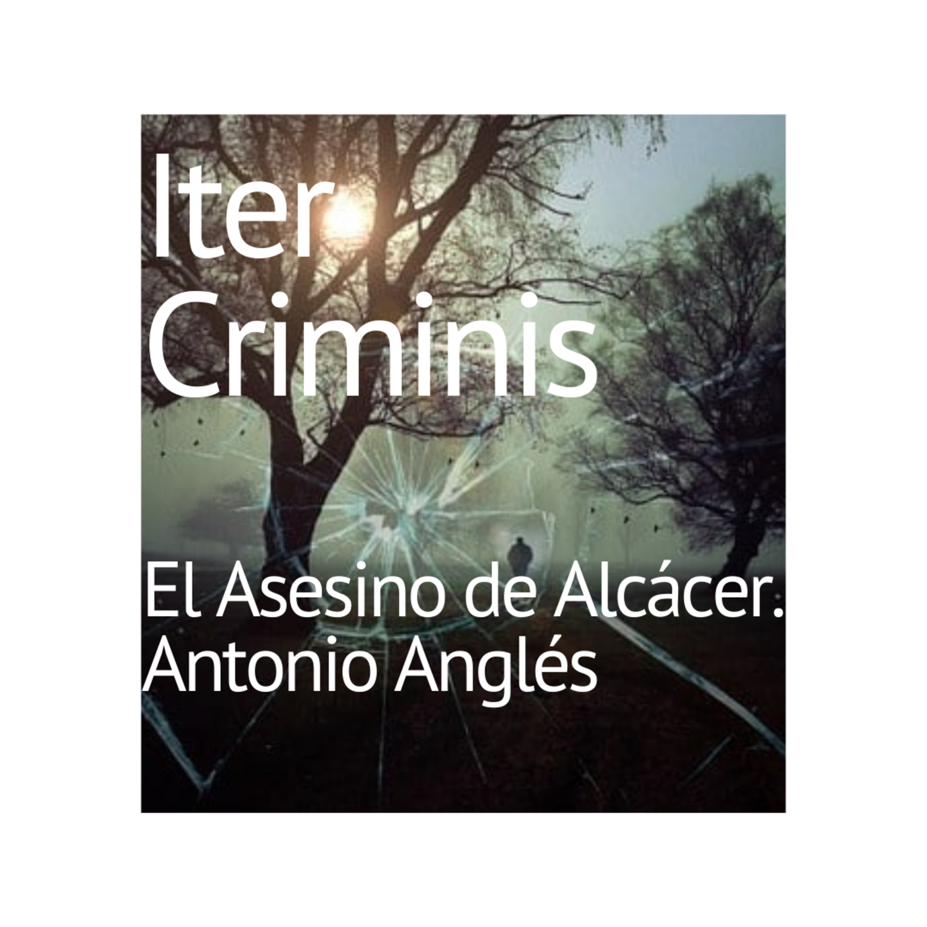 Iter Criminis. Camino del Delito