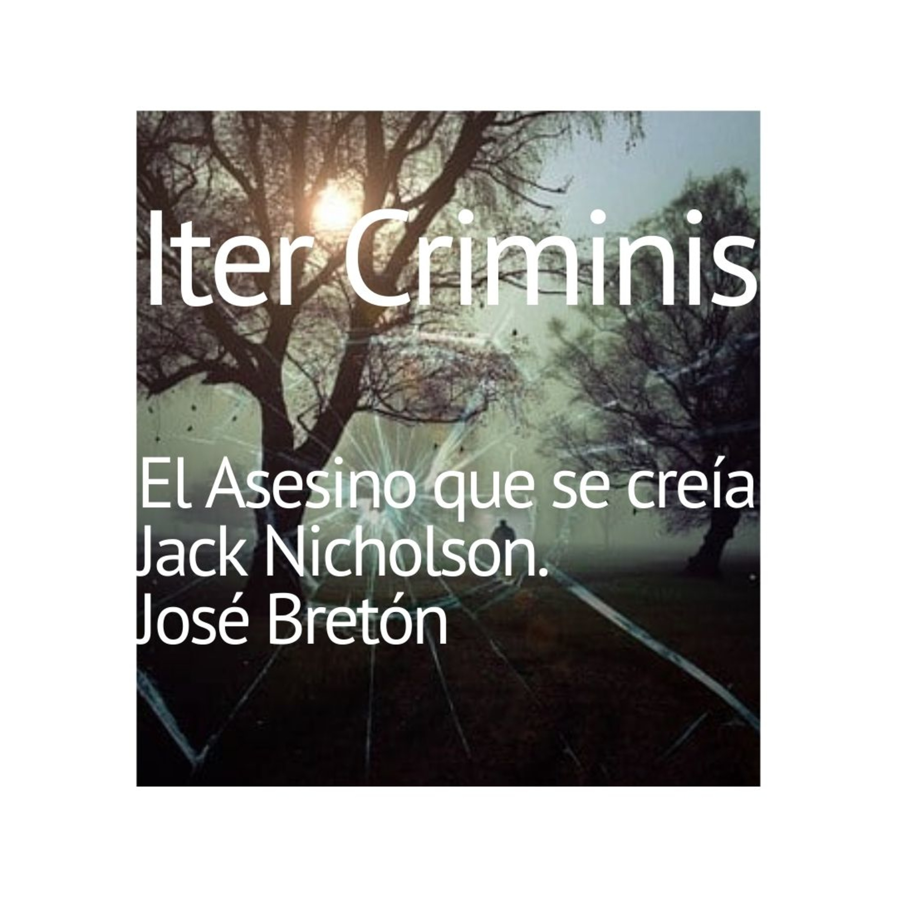 Iter Criminis. Camino del Delito
