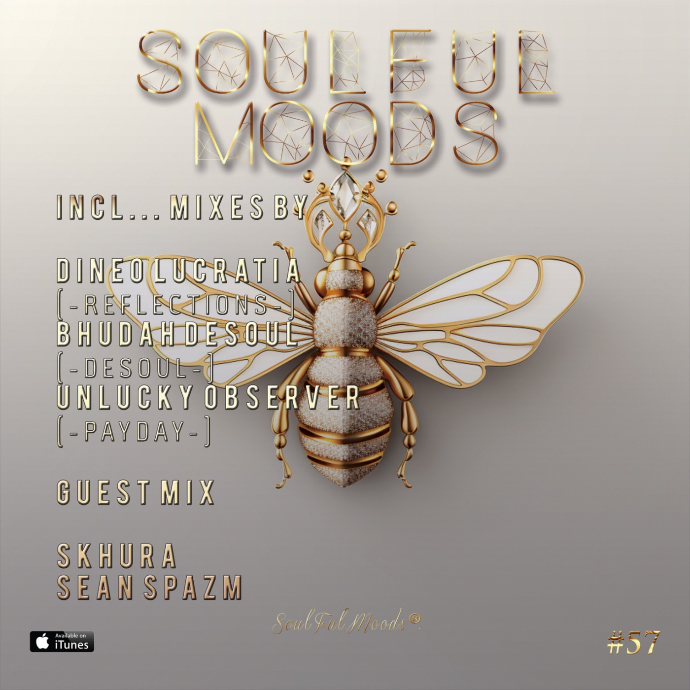 Soulfulmoods