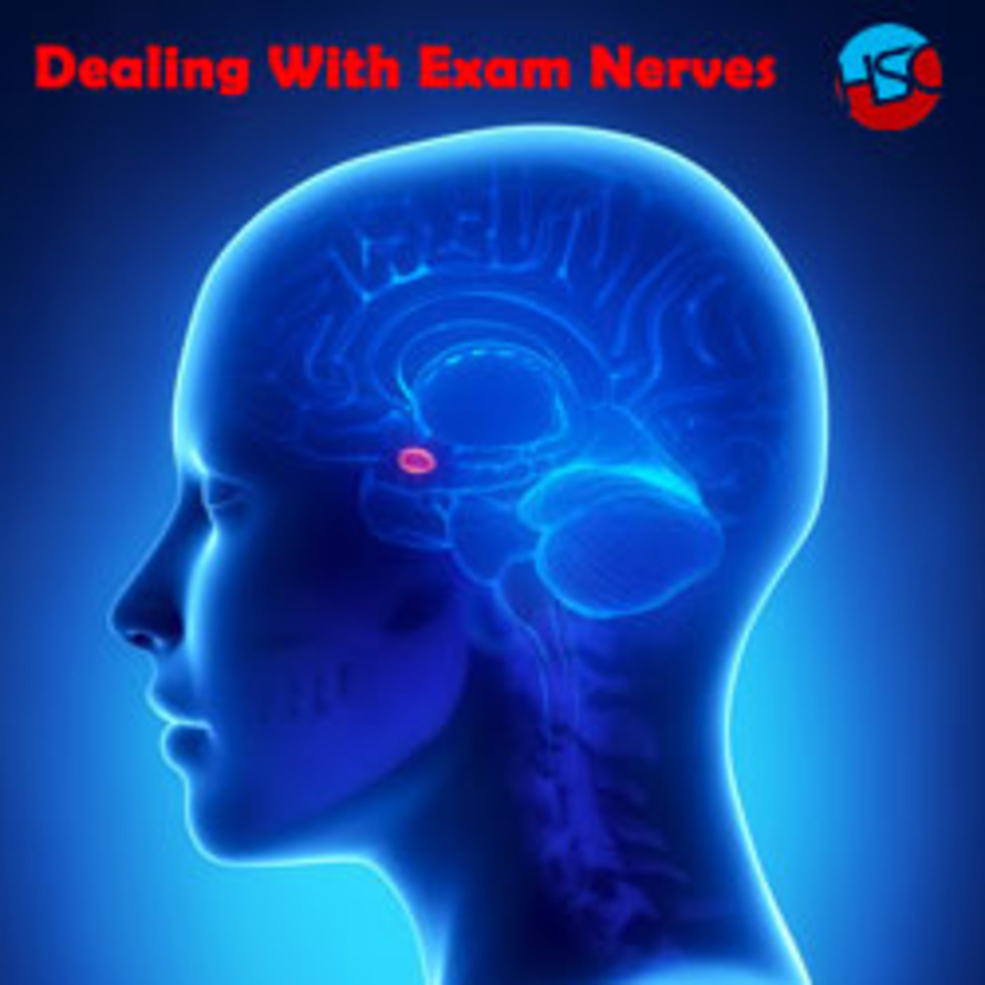 Save My HSC Show – Dealing With Exam Nerves – Episode 12