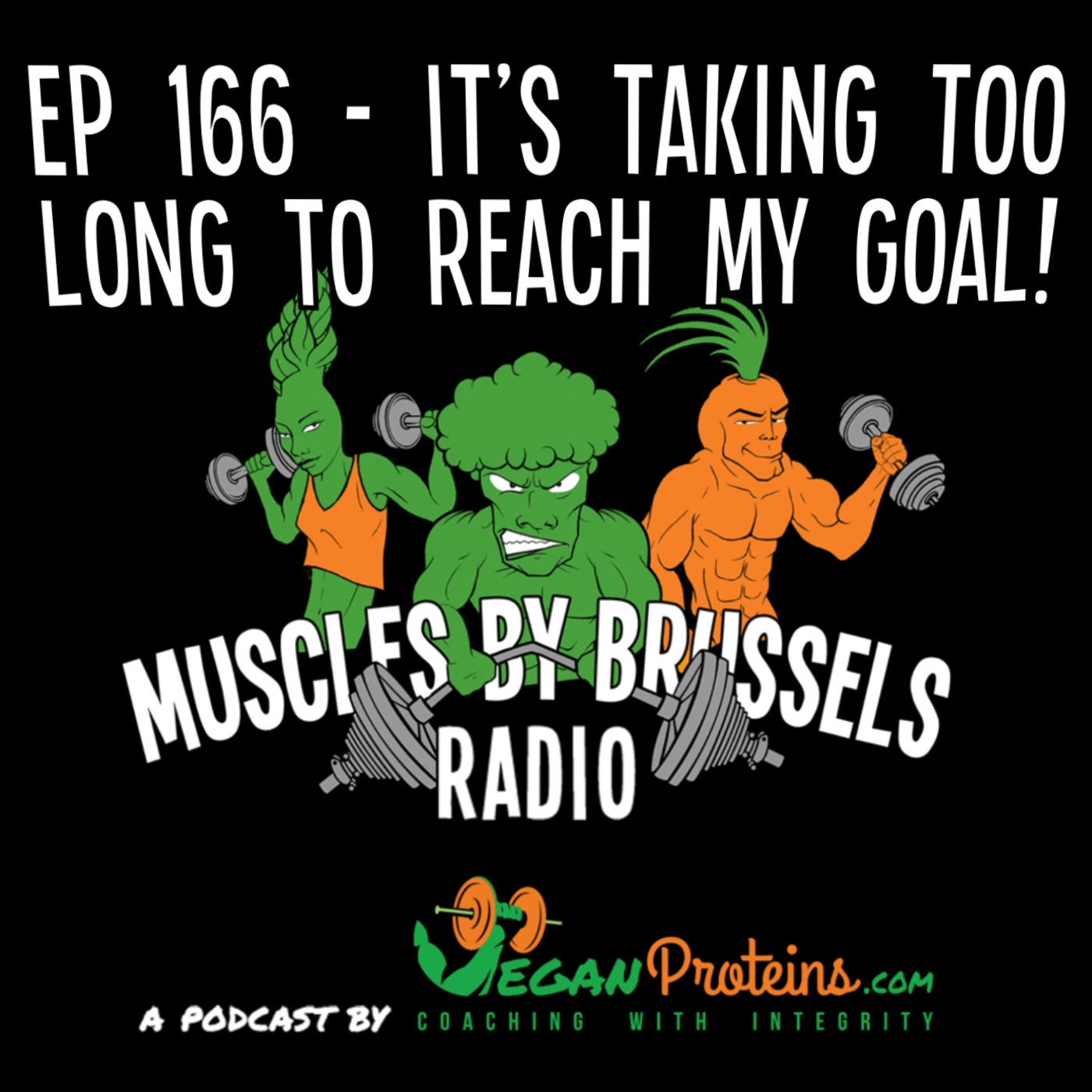 Episode 166: It's Taking Too Long To Reach My Goal! episode artwork