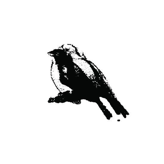 crow with no mouth radio