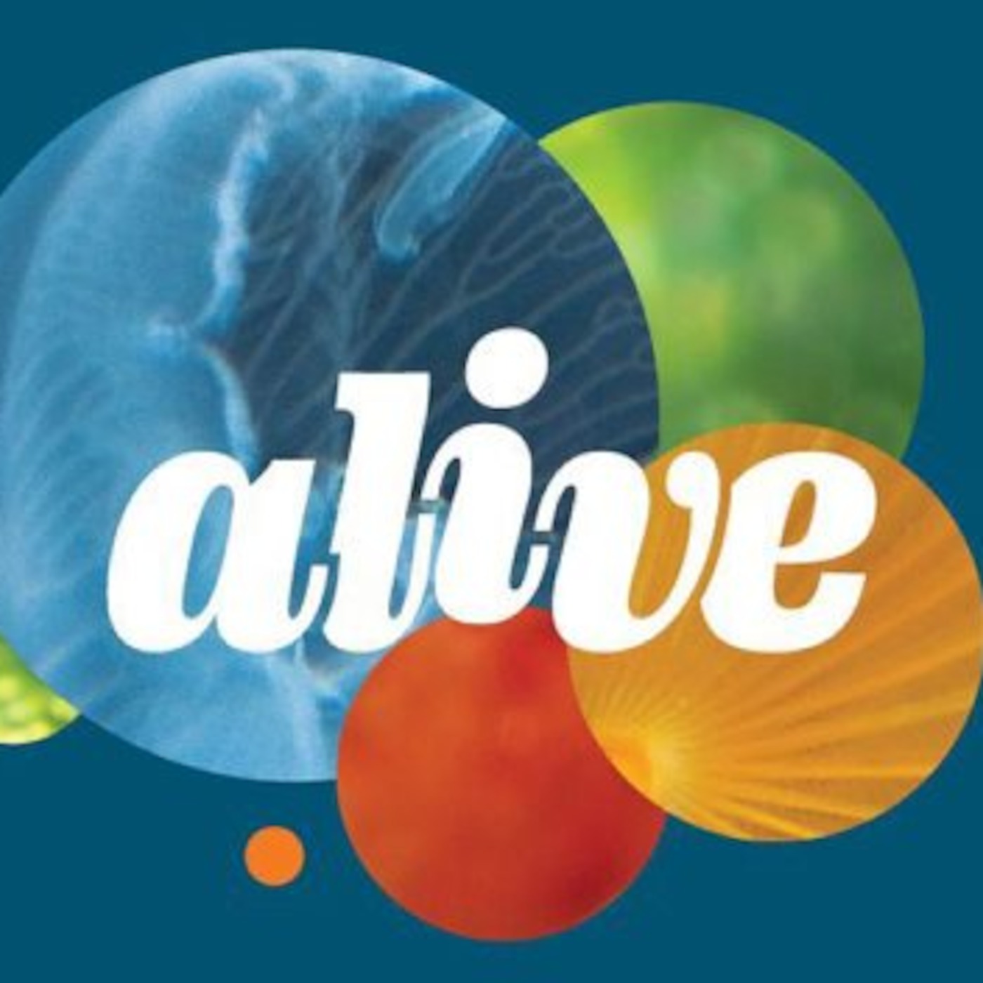 Alive mix