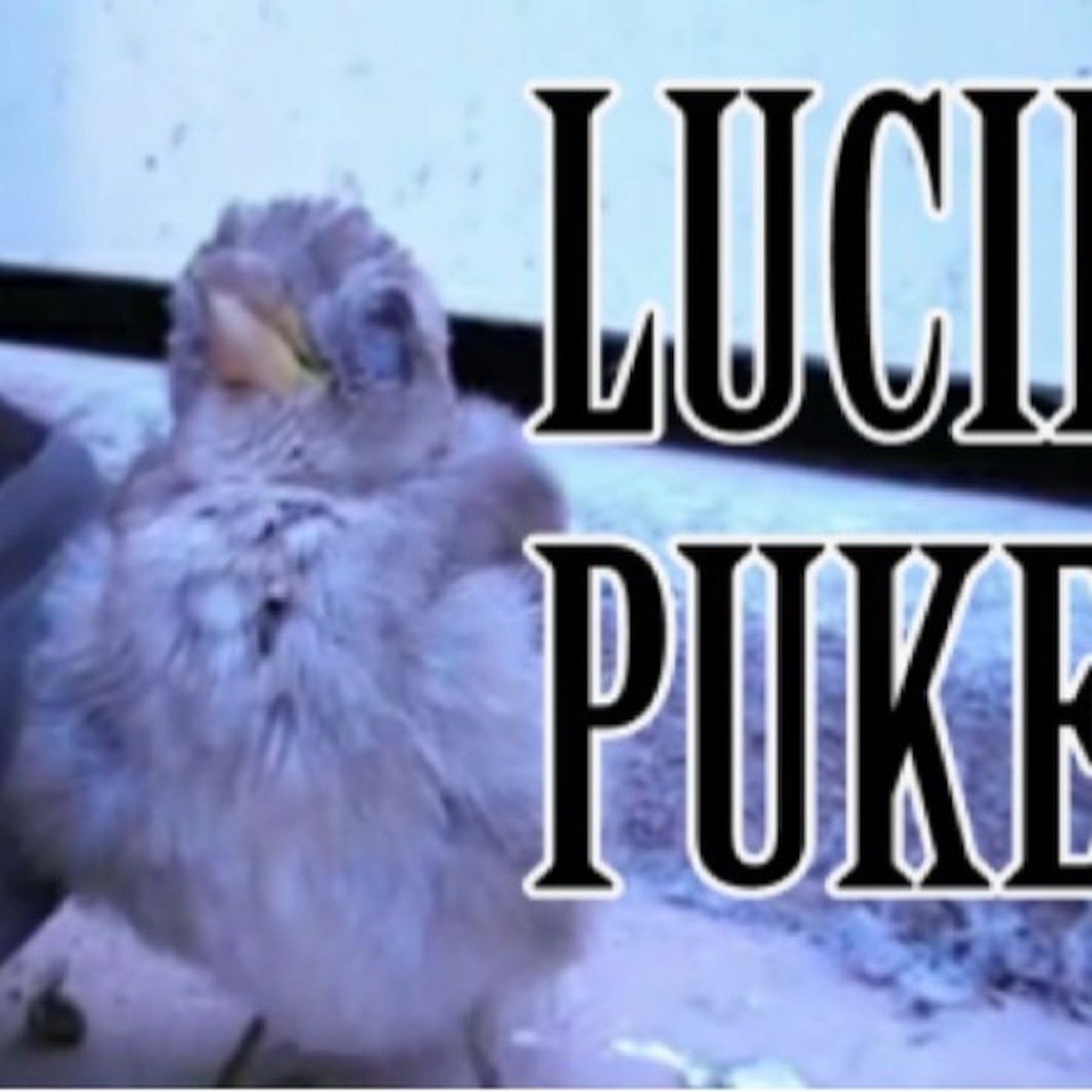 Lucid Puke Radio