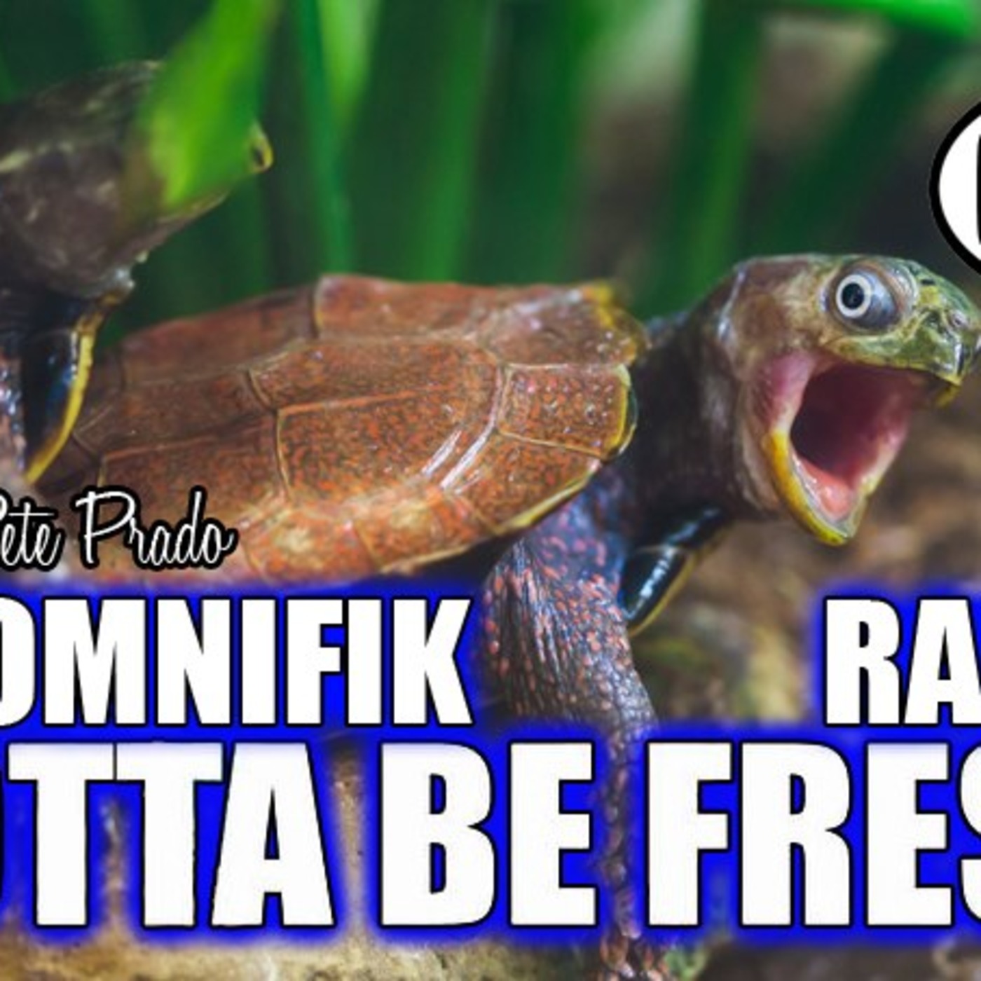 Omnifik Radio Presents Gotta Be Fresh 3 with Pete Prado