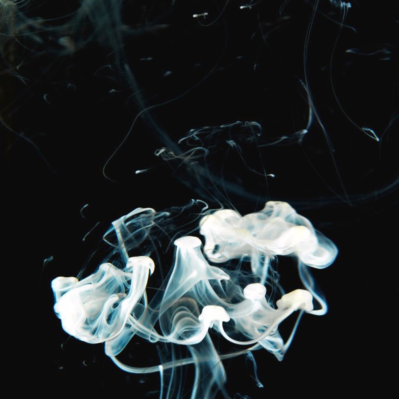 VAPOR episode artwork