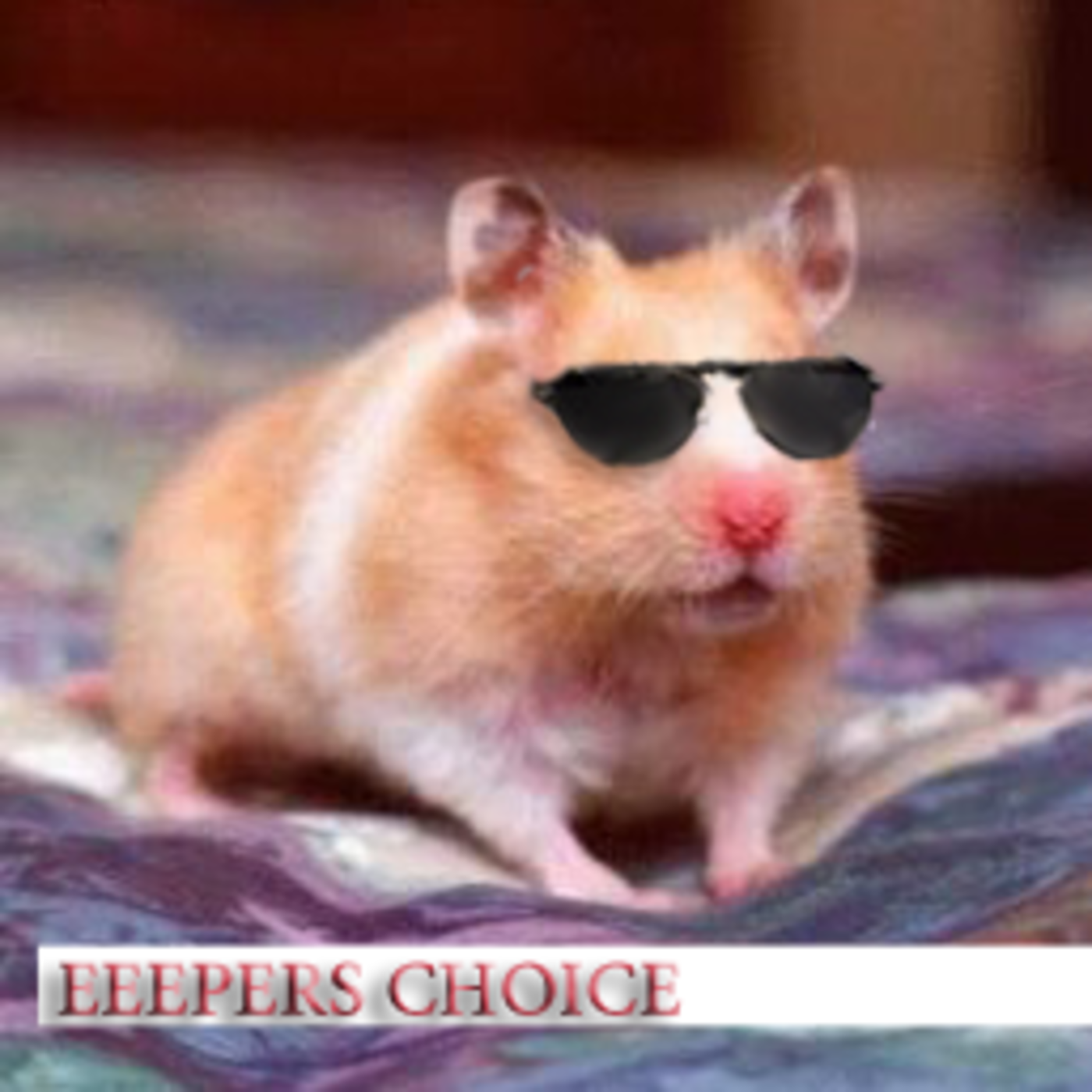 Eeepers's Choice Show 03 The-I've-nothing-big-planned-Show