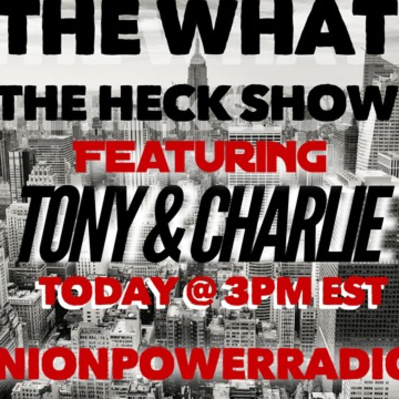 cover of episode THE WHAT THE HECK SHOW / TONY & CHARLIE