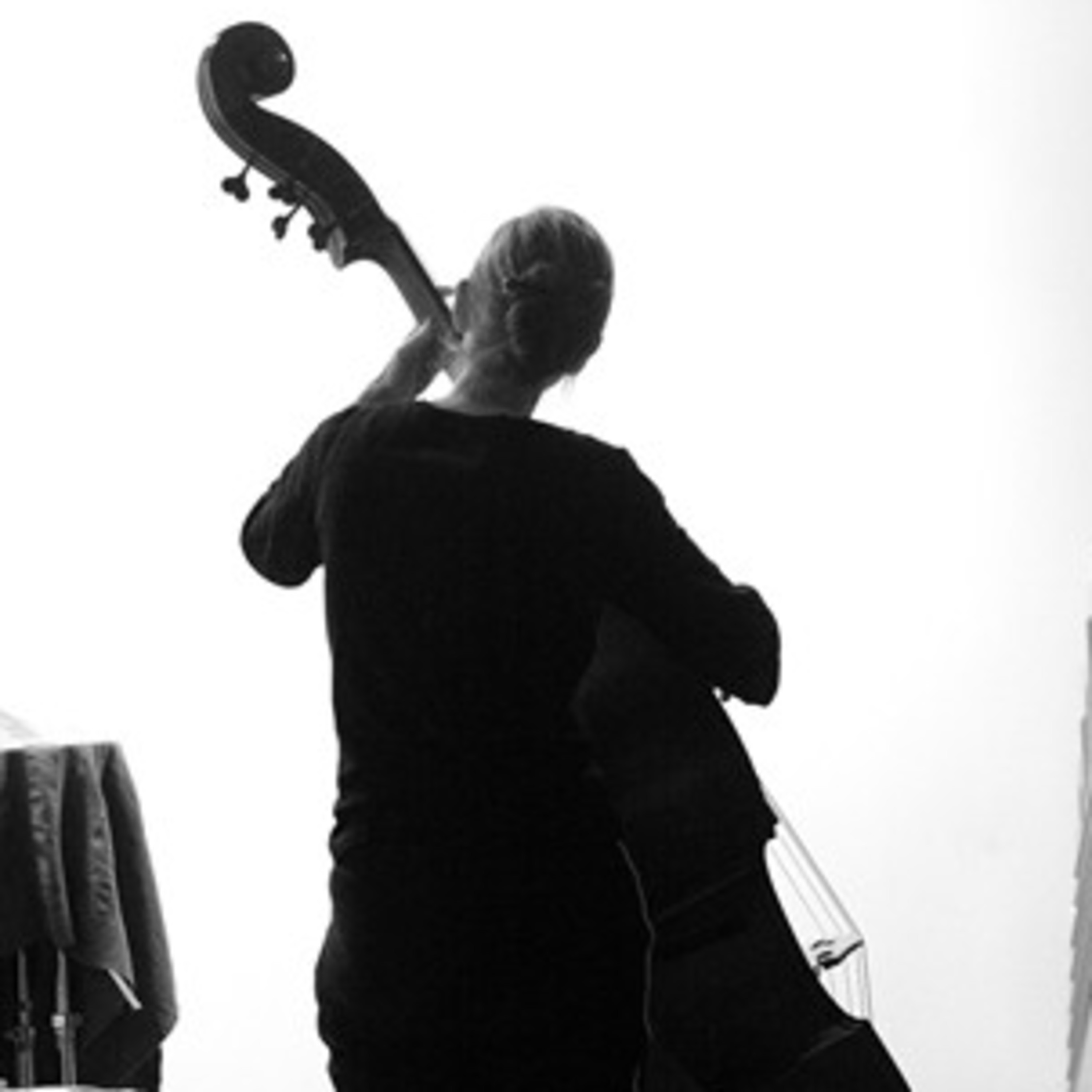 Screaming Needle Sessions