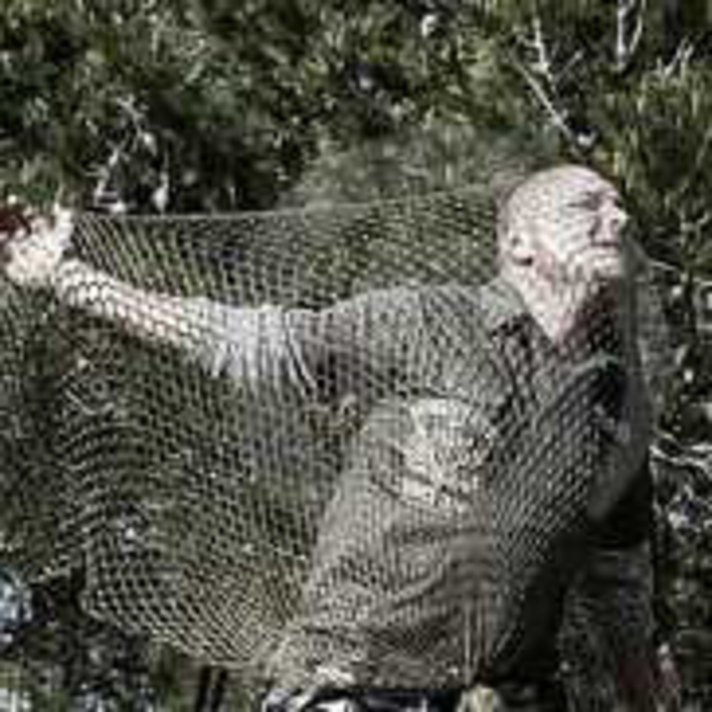 Episode 25: Don't Get Caught in the Net!