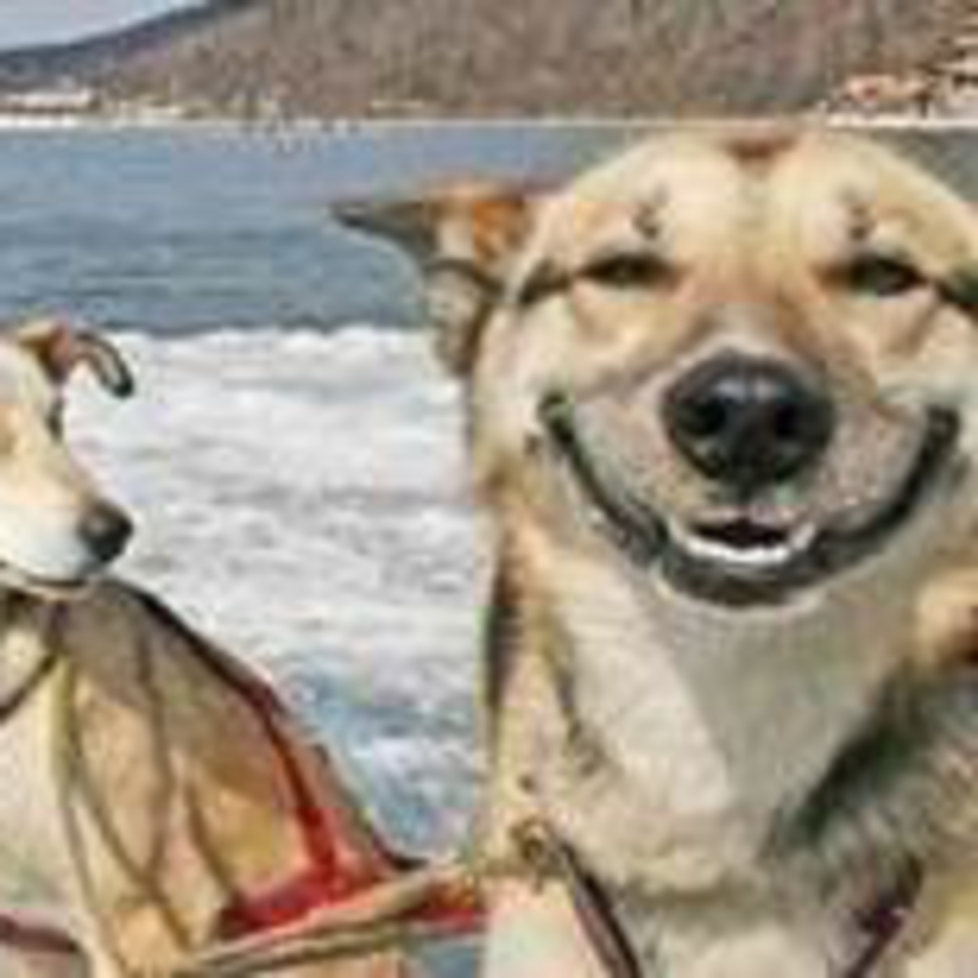 Words To Live By: Laughter