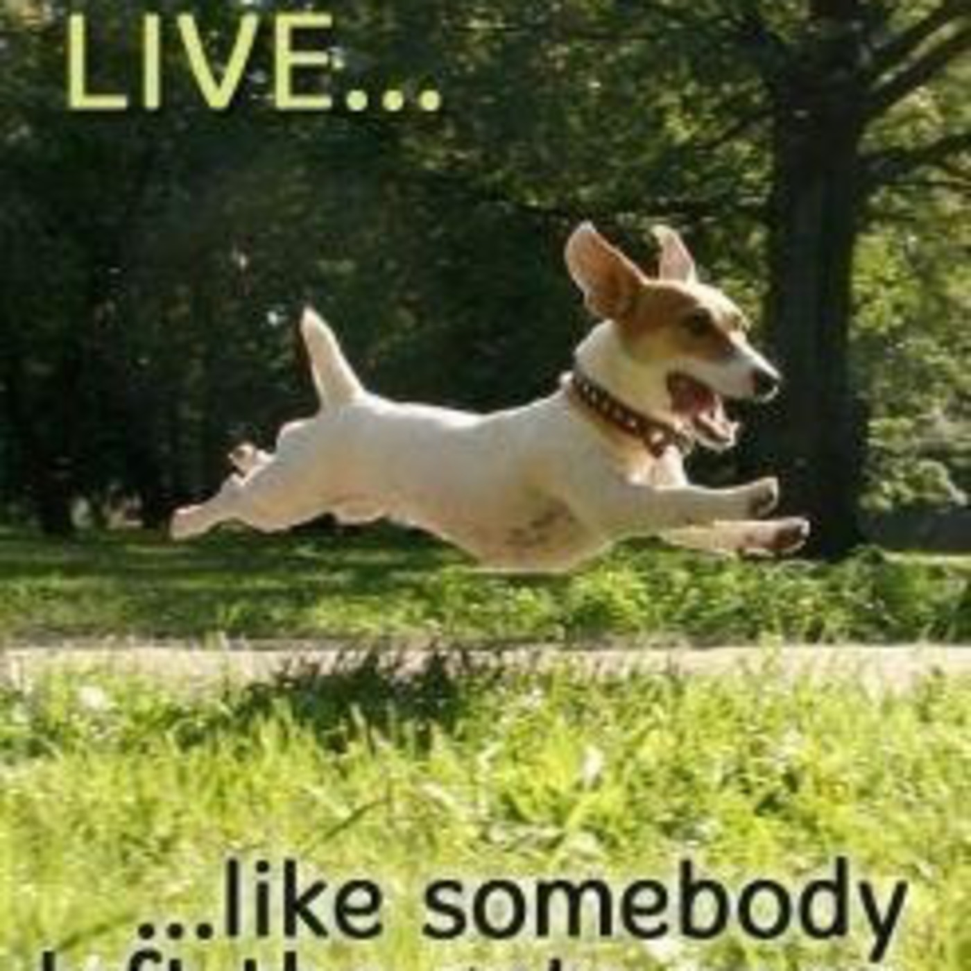Words To Live By: ENJOY !