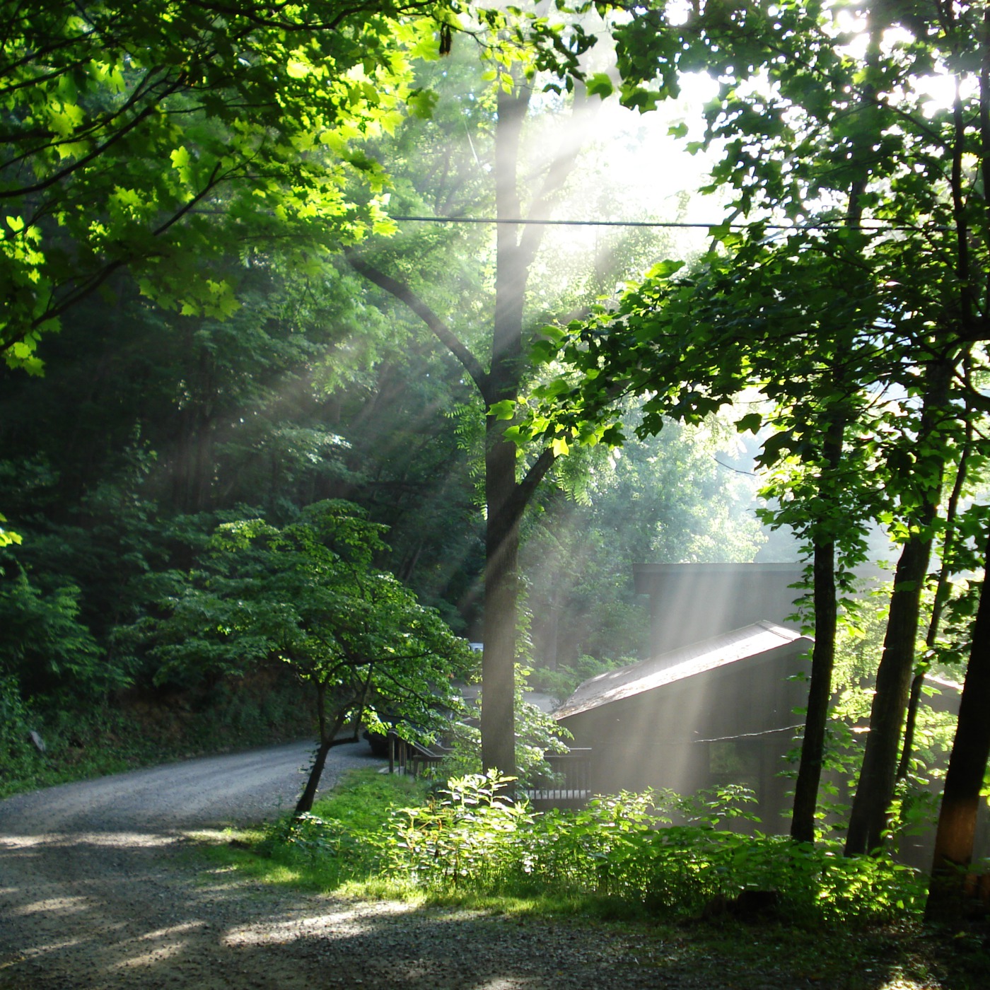 Sylva, NC - Nantahala Sun