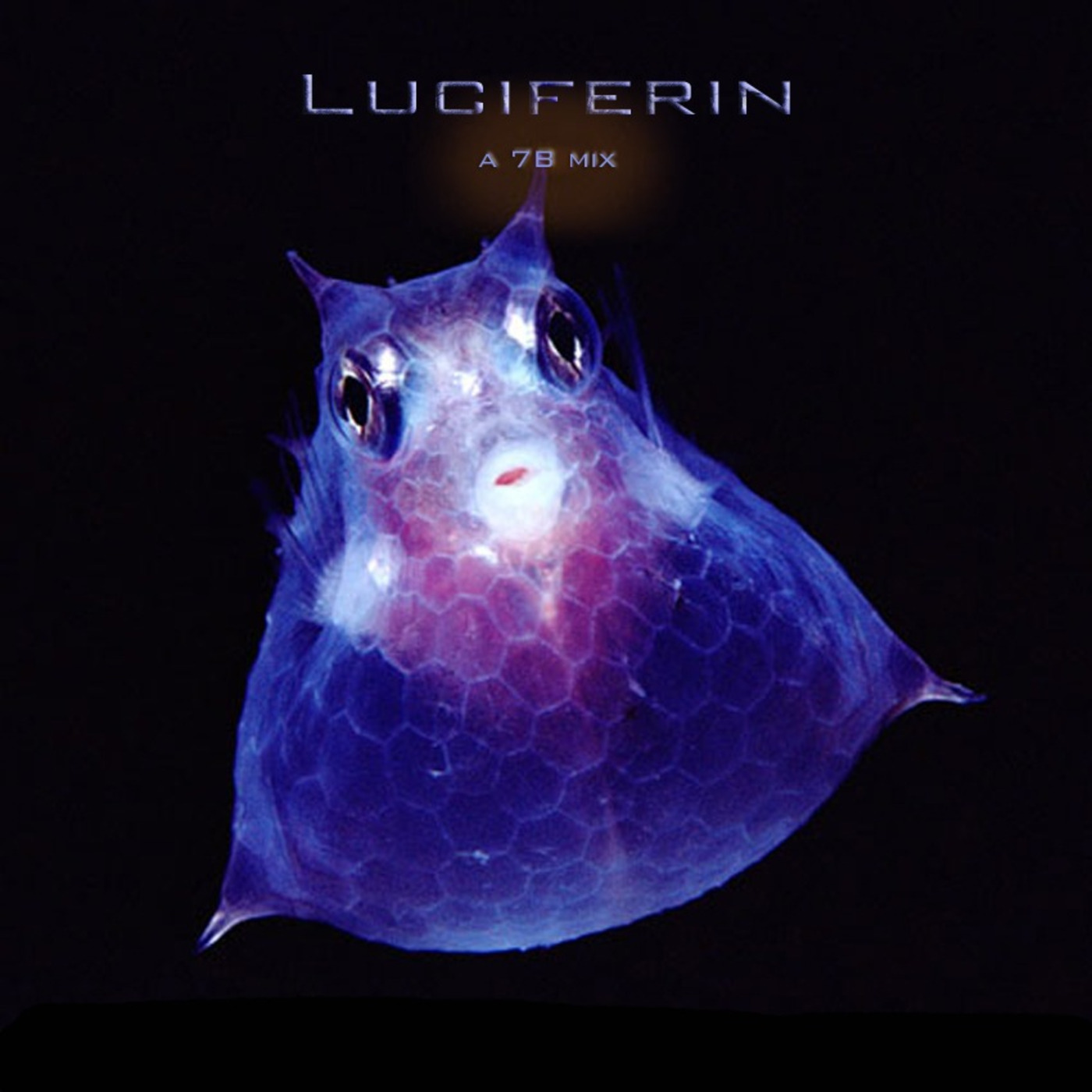 Luciferin