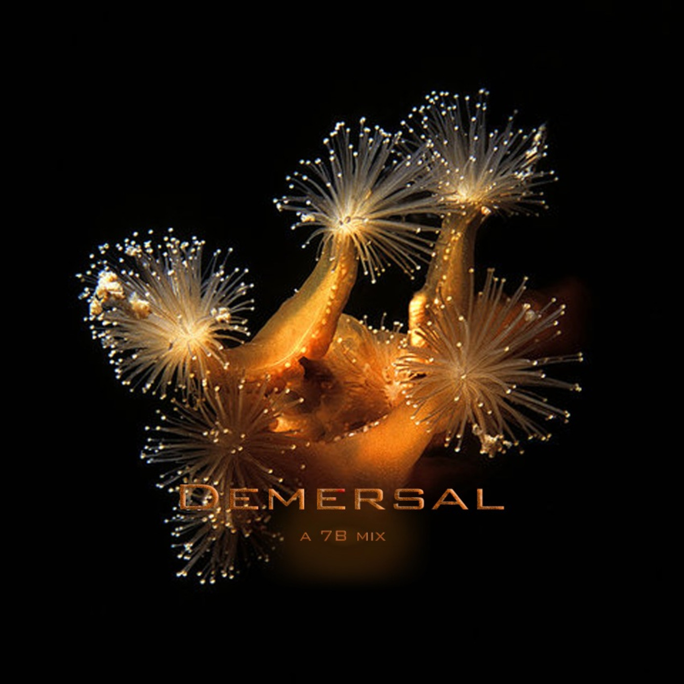 Demersal