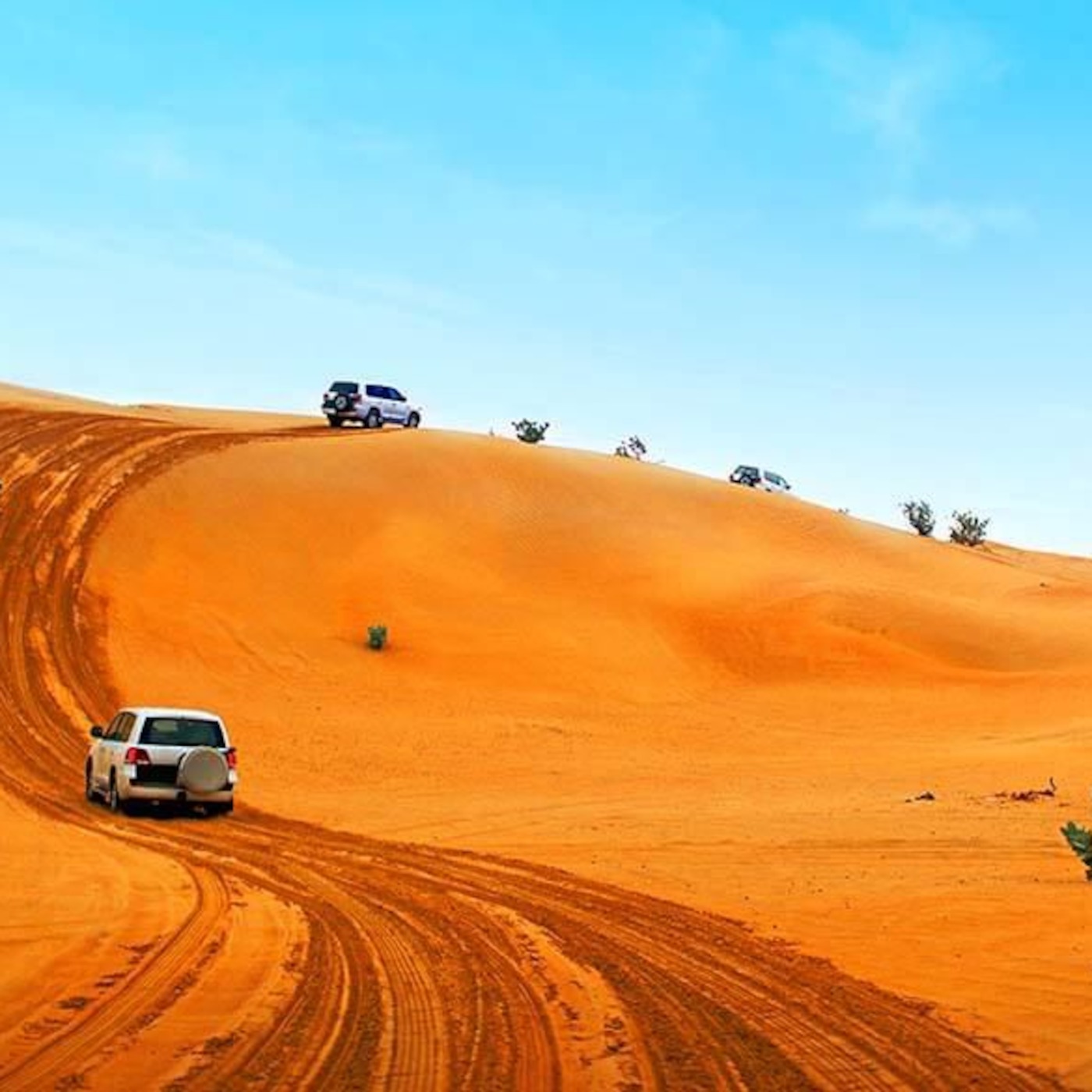 Best Activities To Do In Dubai Tours and Excursions episode artwork
