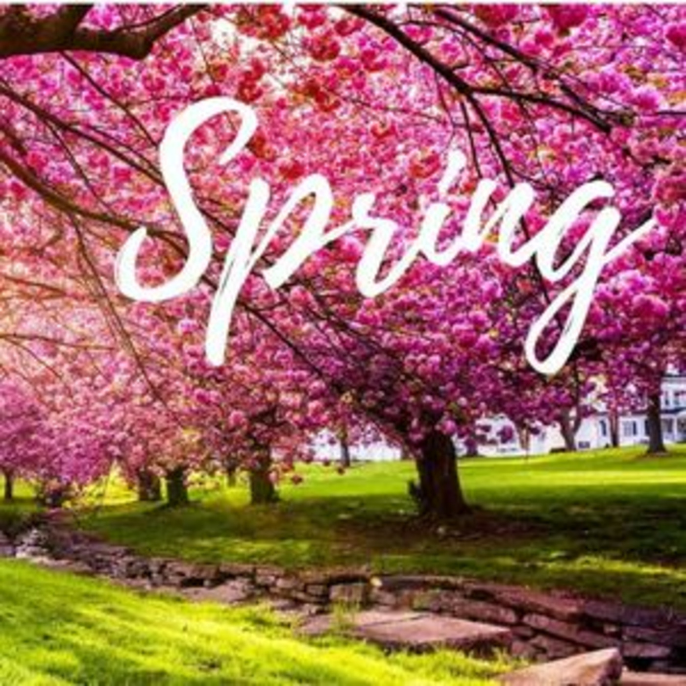 Episode 4: Spring 23