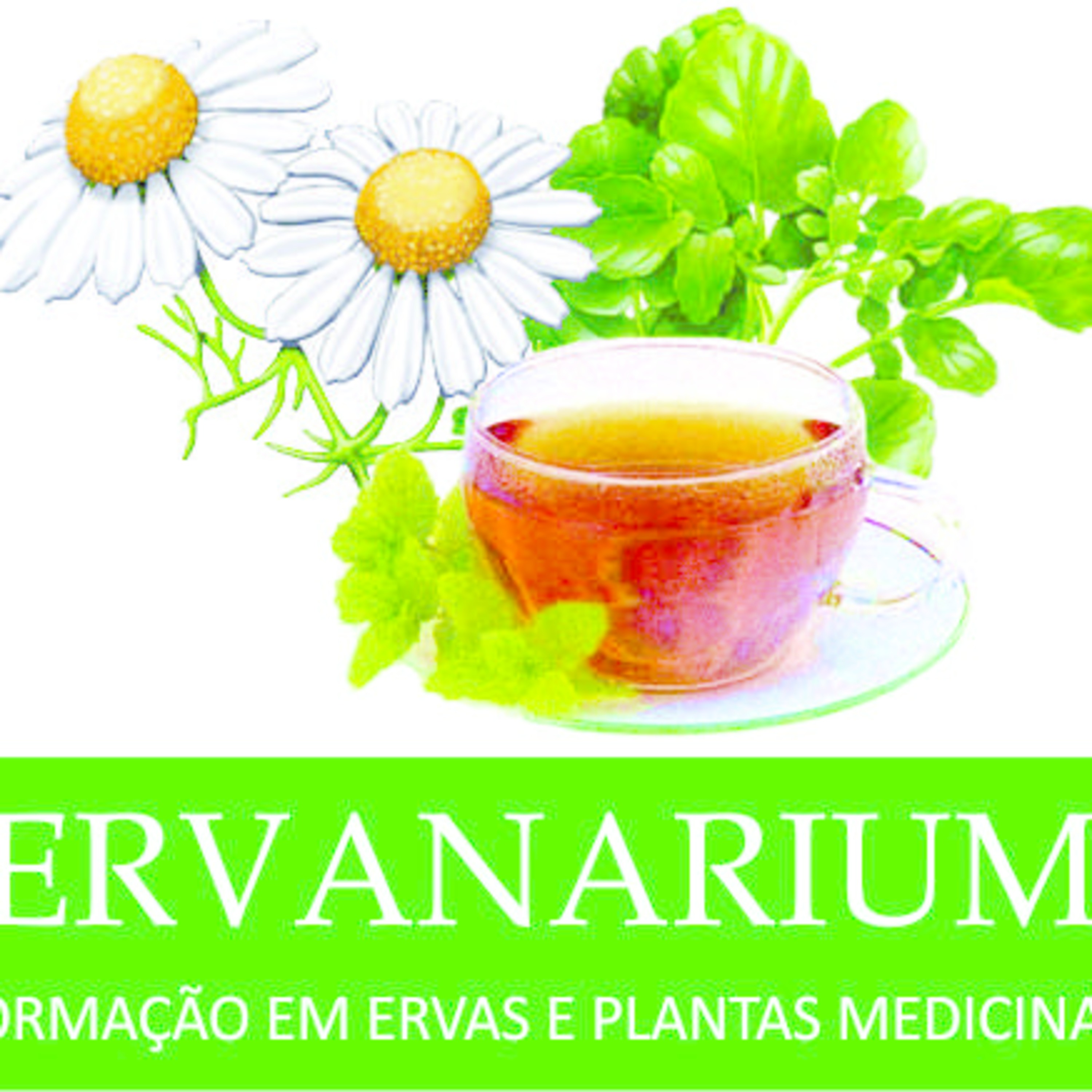 Rodrigo Silveira's Podcast
