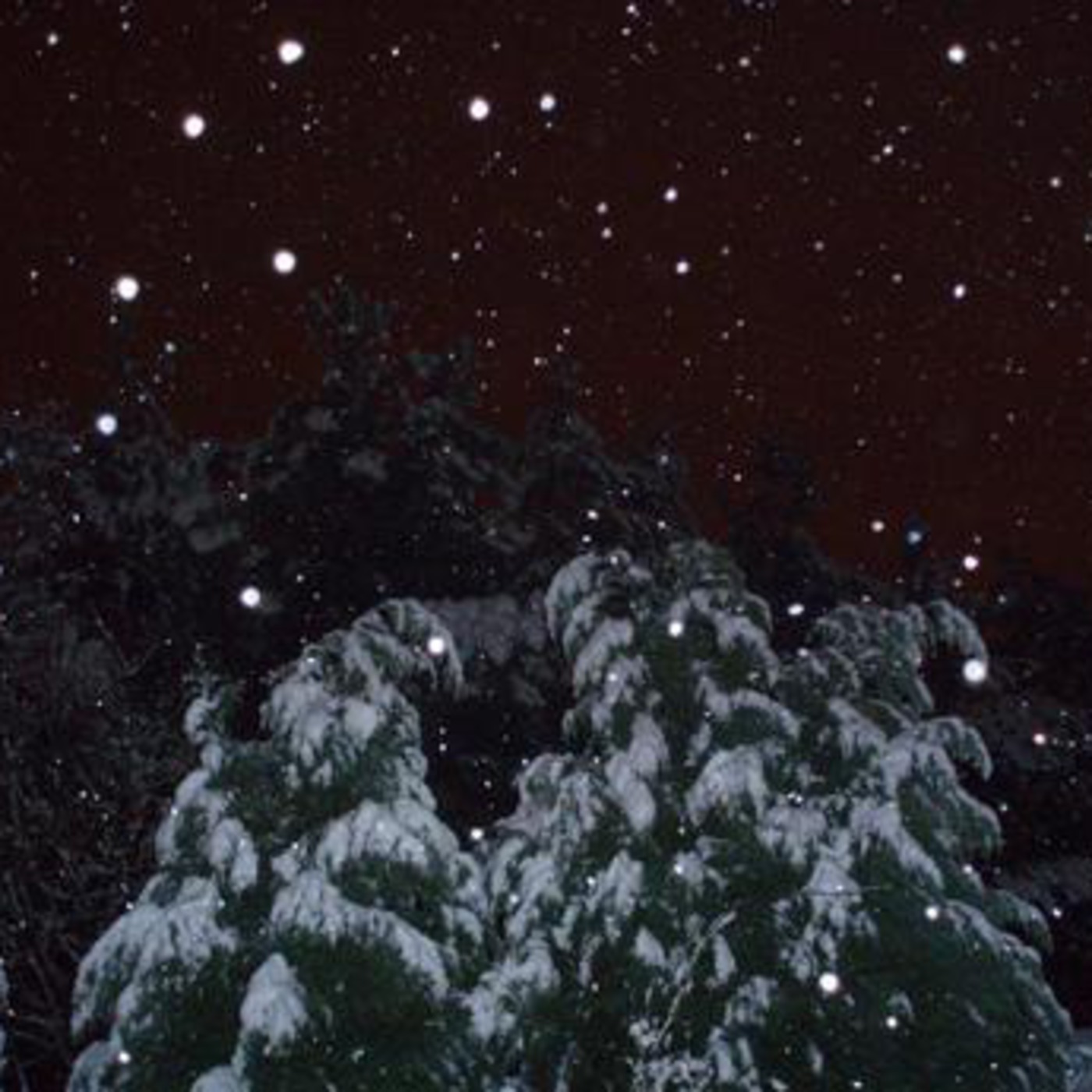 Digital Runoff's Snowcast Digital Runoff's Snowcast