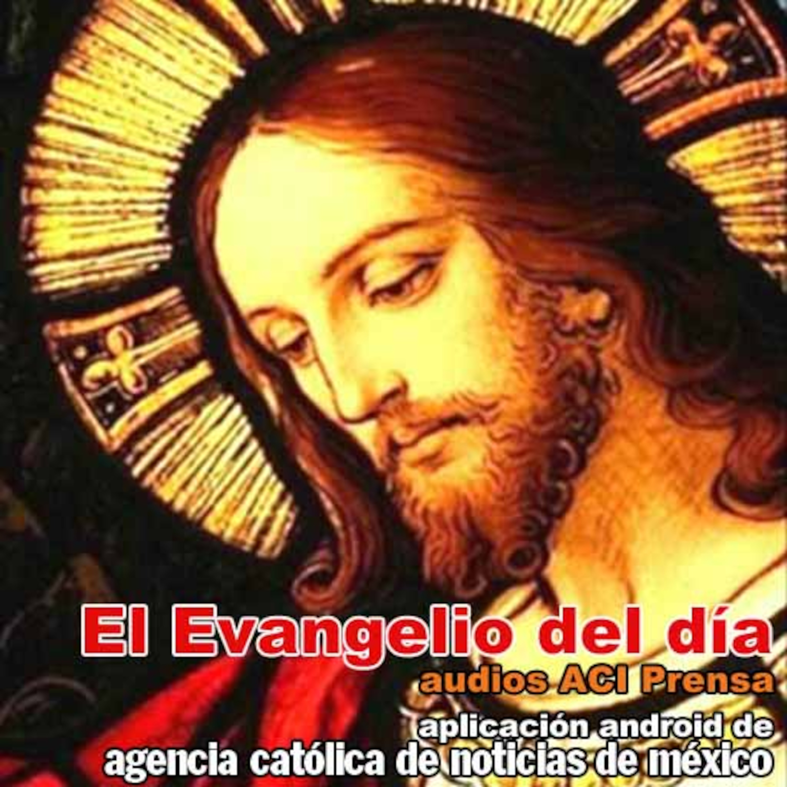 Orden Franciscana Seglar en México