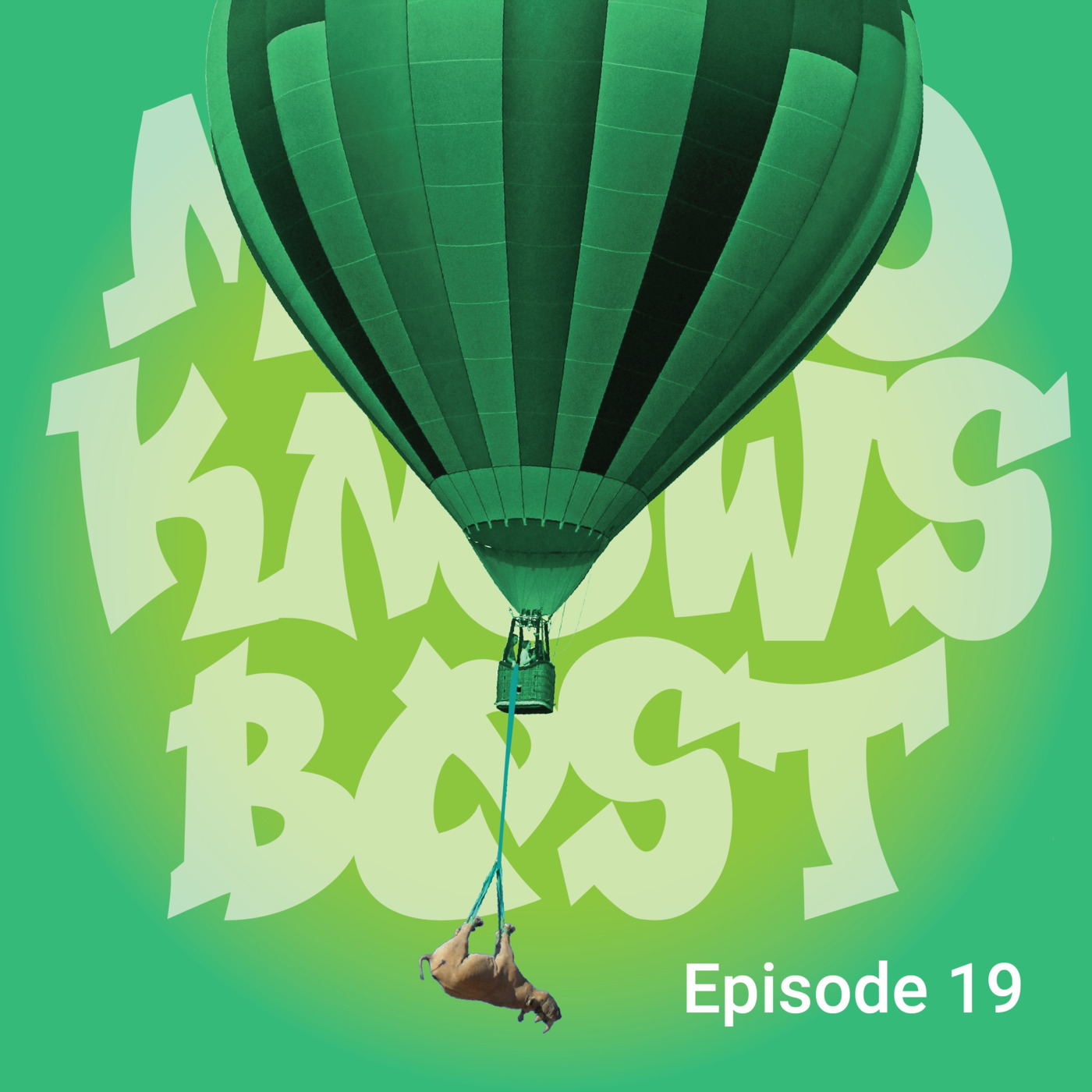 Episode 19: An Ought Hair Balloon