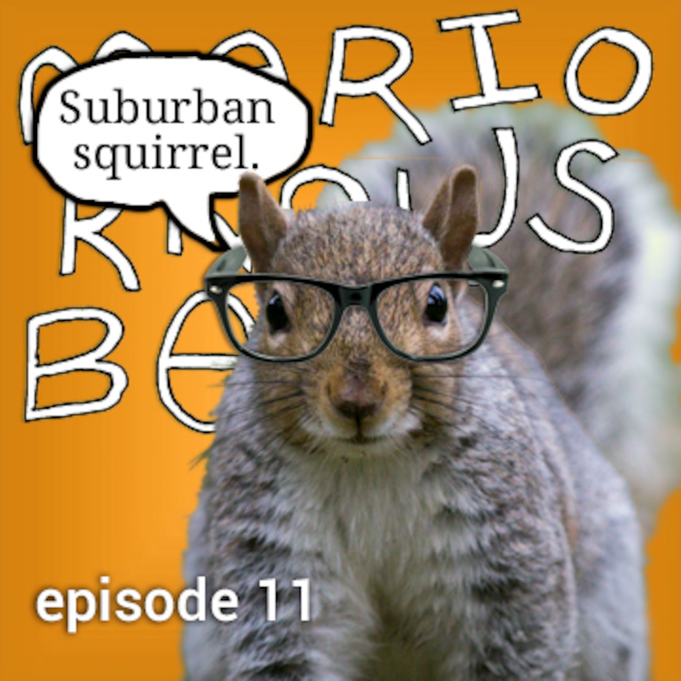 Episode 11 - Suburban Squirrels