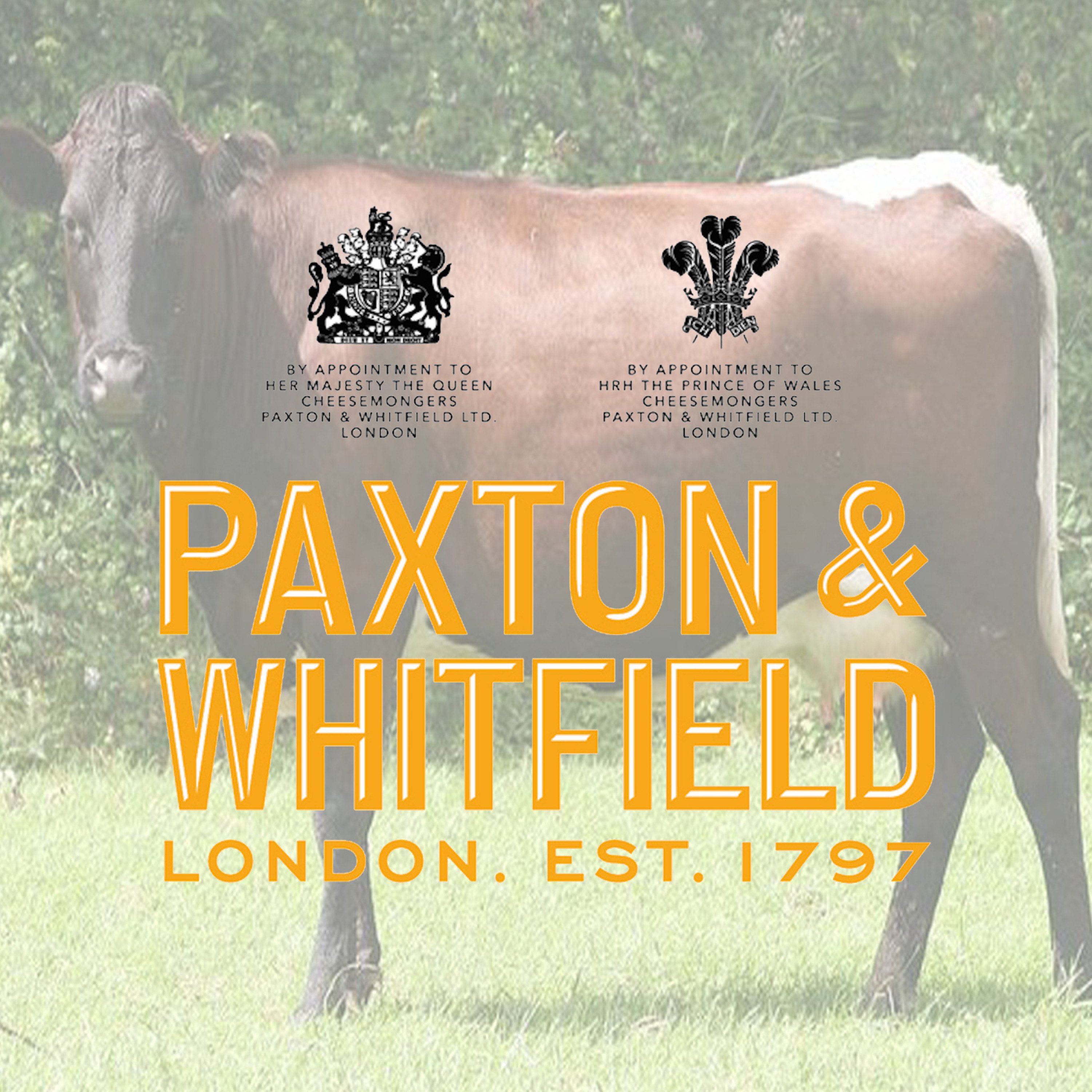 The Paxton & Whitfield Cheese Podcast