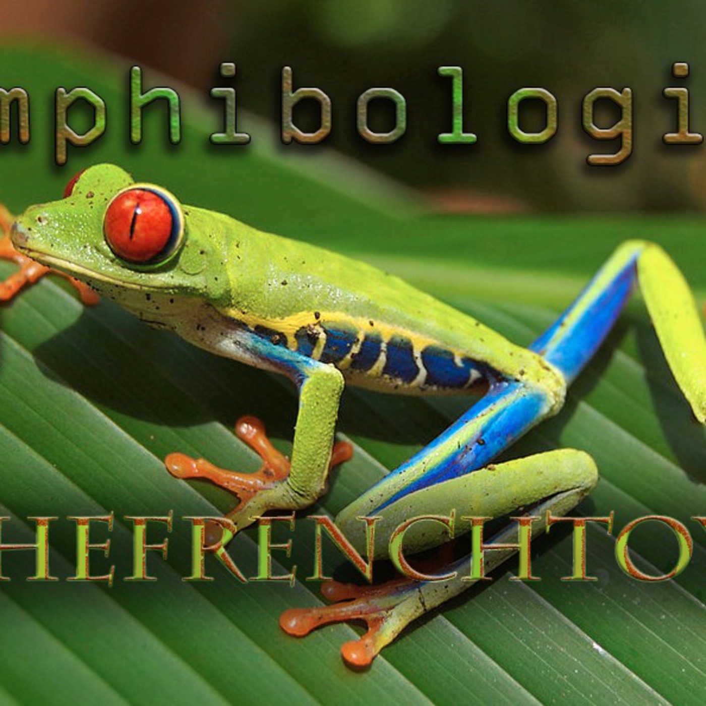 Amphibologie by The French Toys