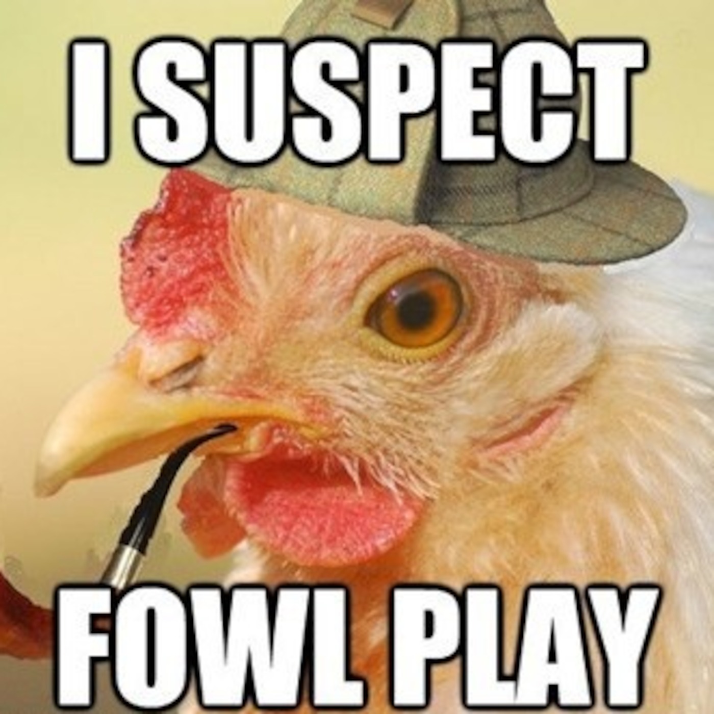 MMA Chicken - Round 02
