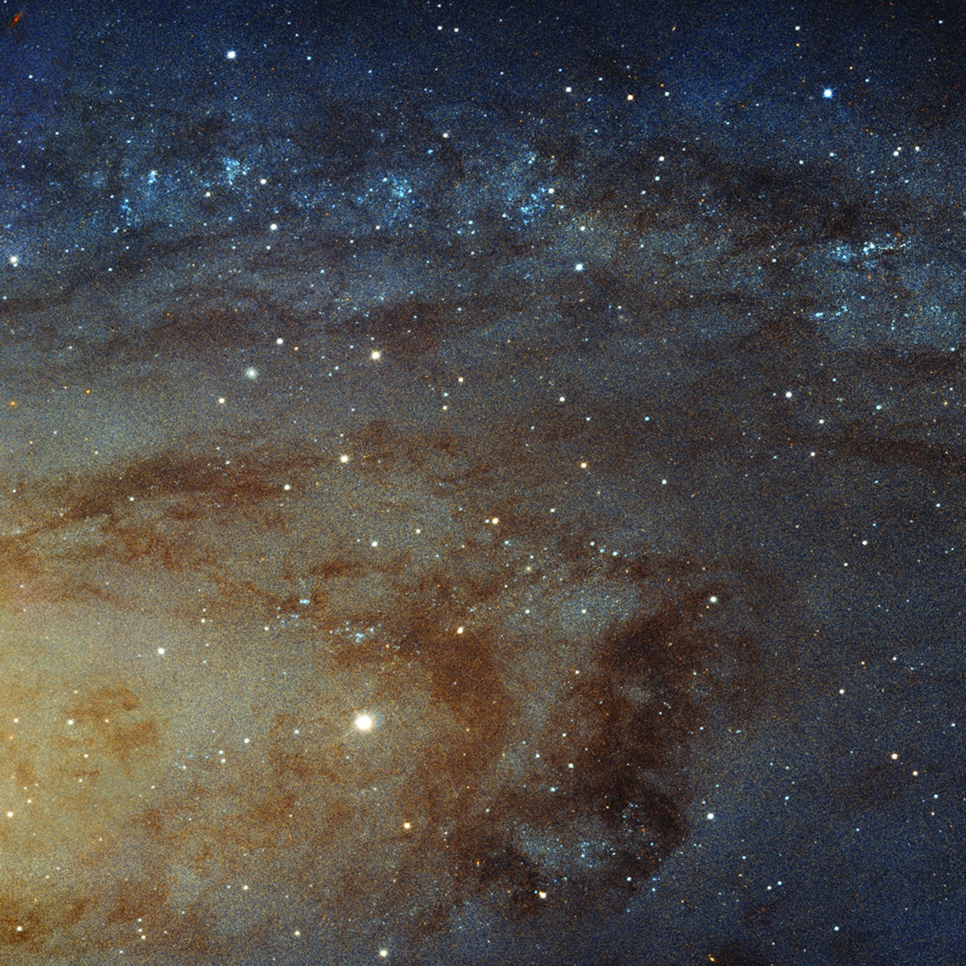 Cosmos