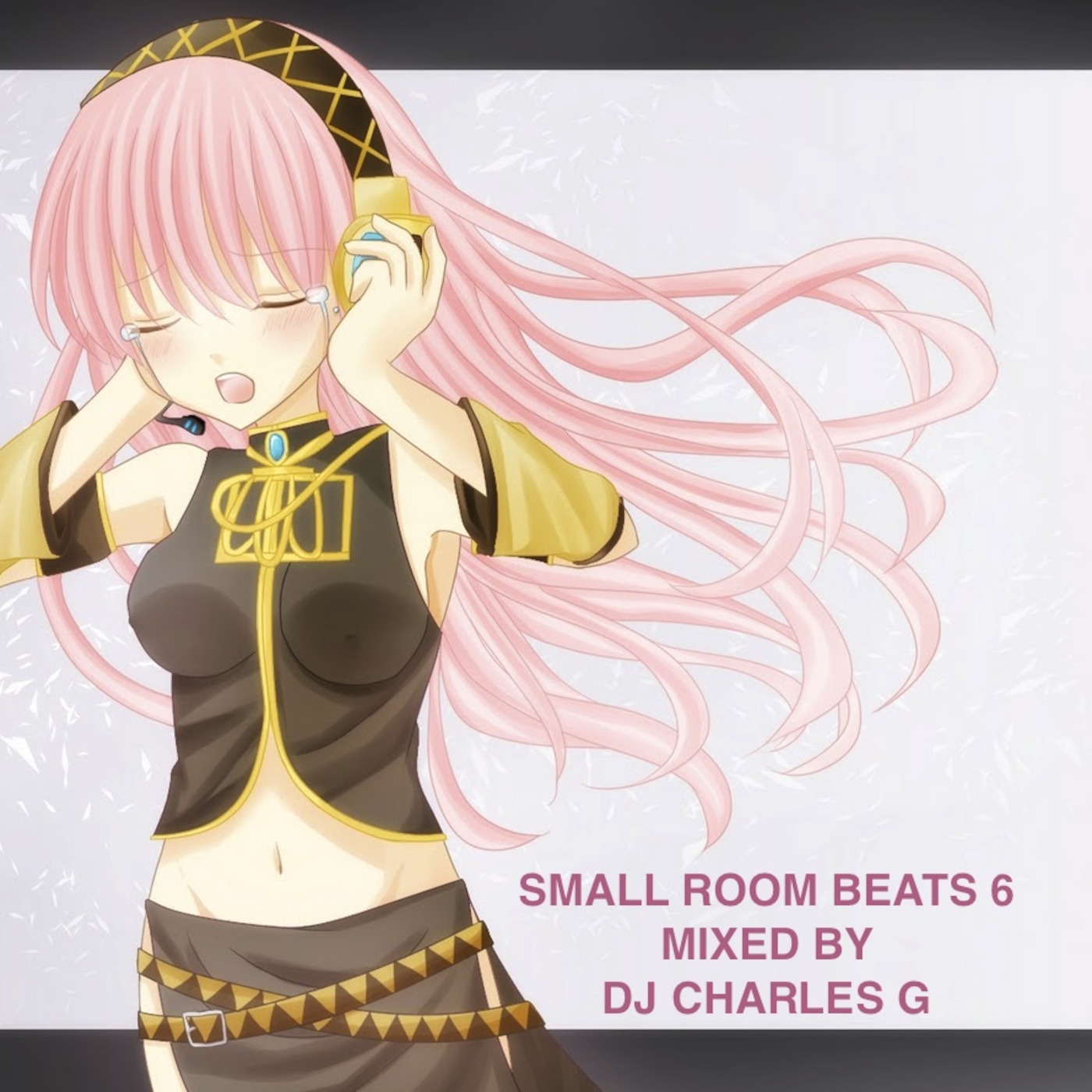 Small Room Beats 6 Mixed By D.J. Charles G - Toronto
