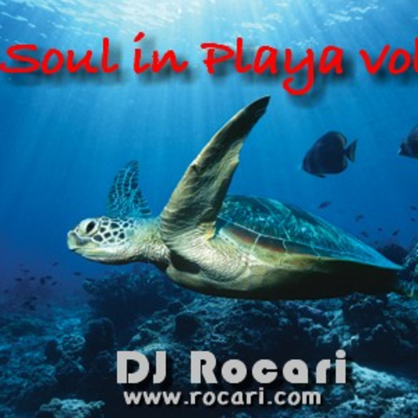 A Soul in Playa vol.2 (deep-house + tech-house + progressive)