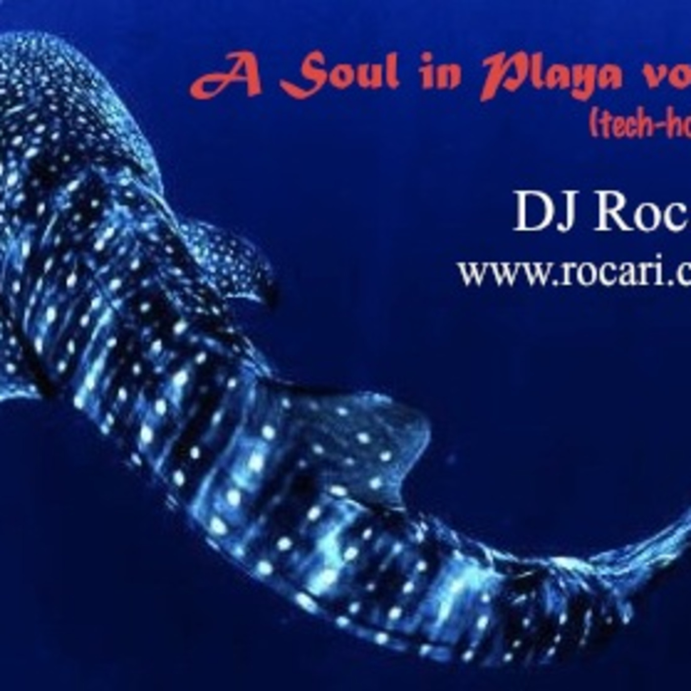 A Soul In Playa vol.3 (deep-house + tech-house)