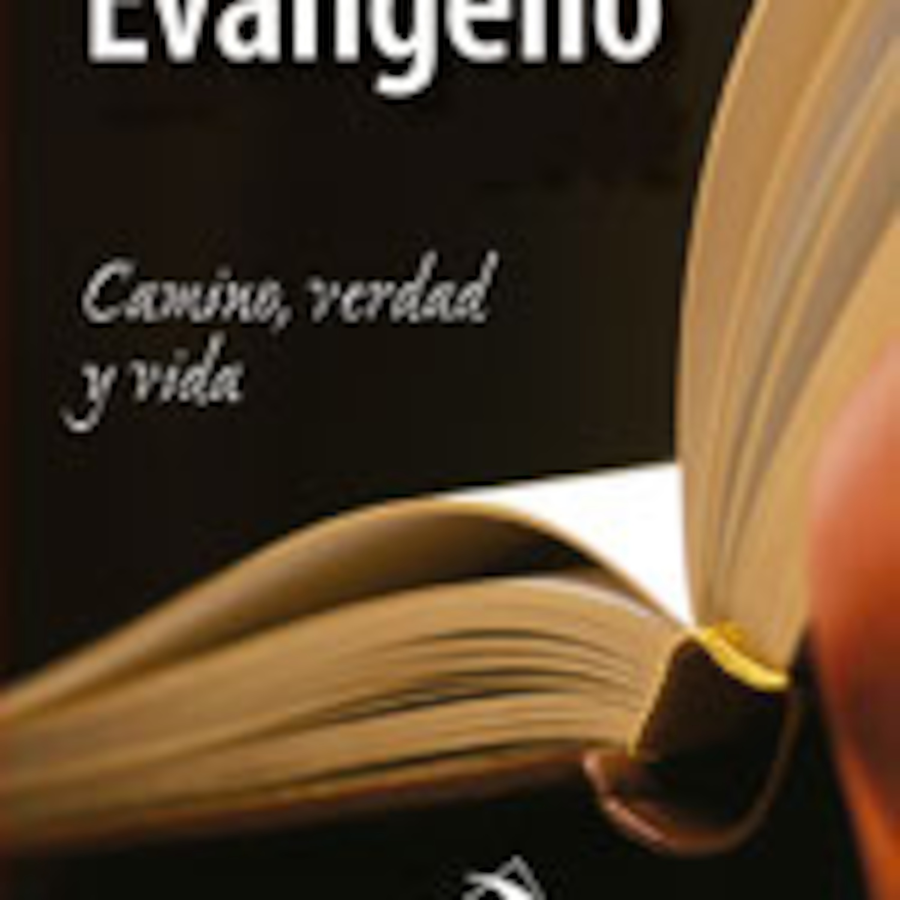 Pasión de Nuestro Señor Jesucristo