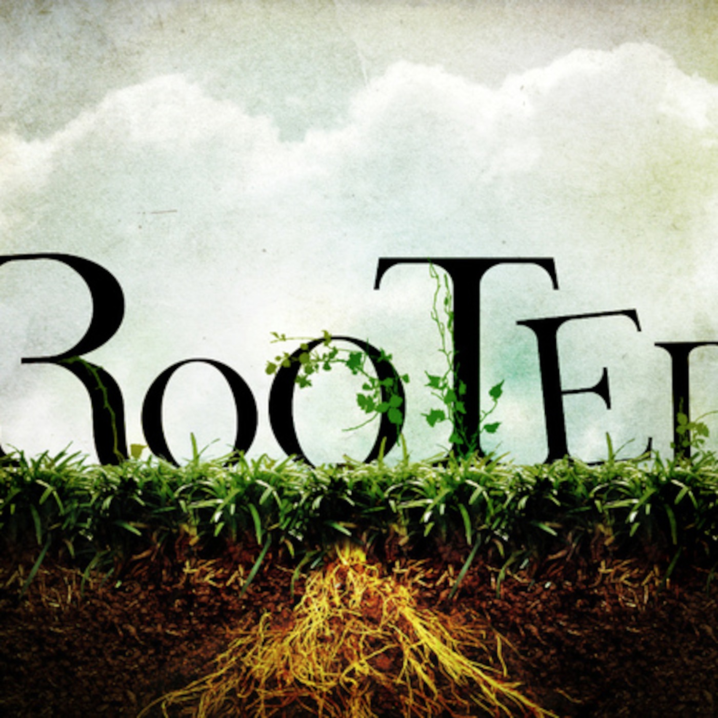 Queen’s Cross Church 044: Rooted
