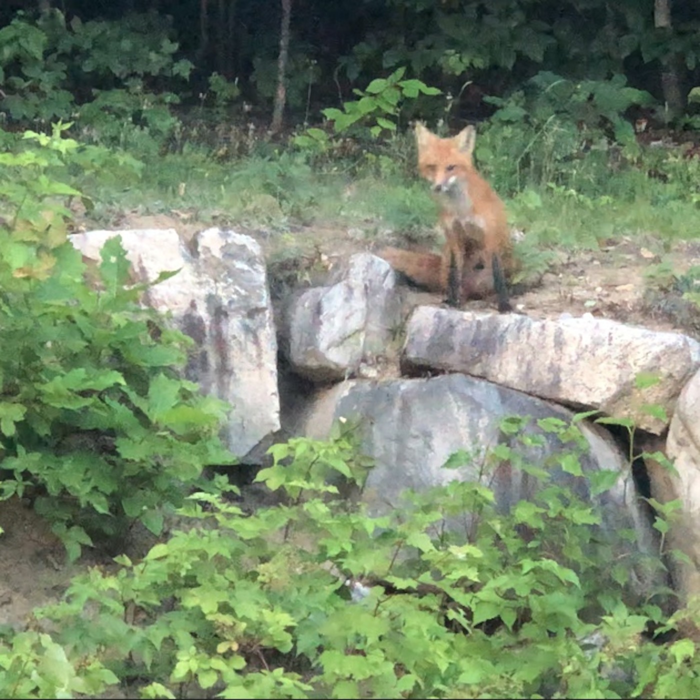 Running Through My Mind