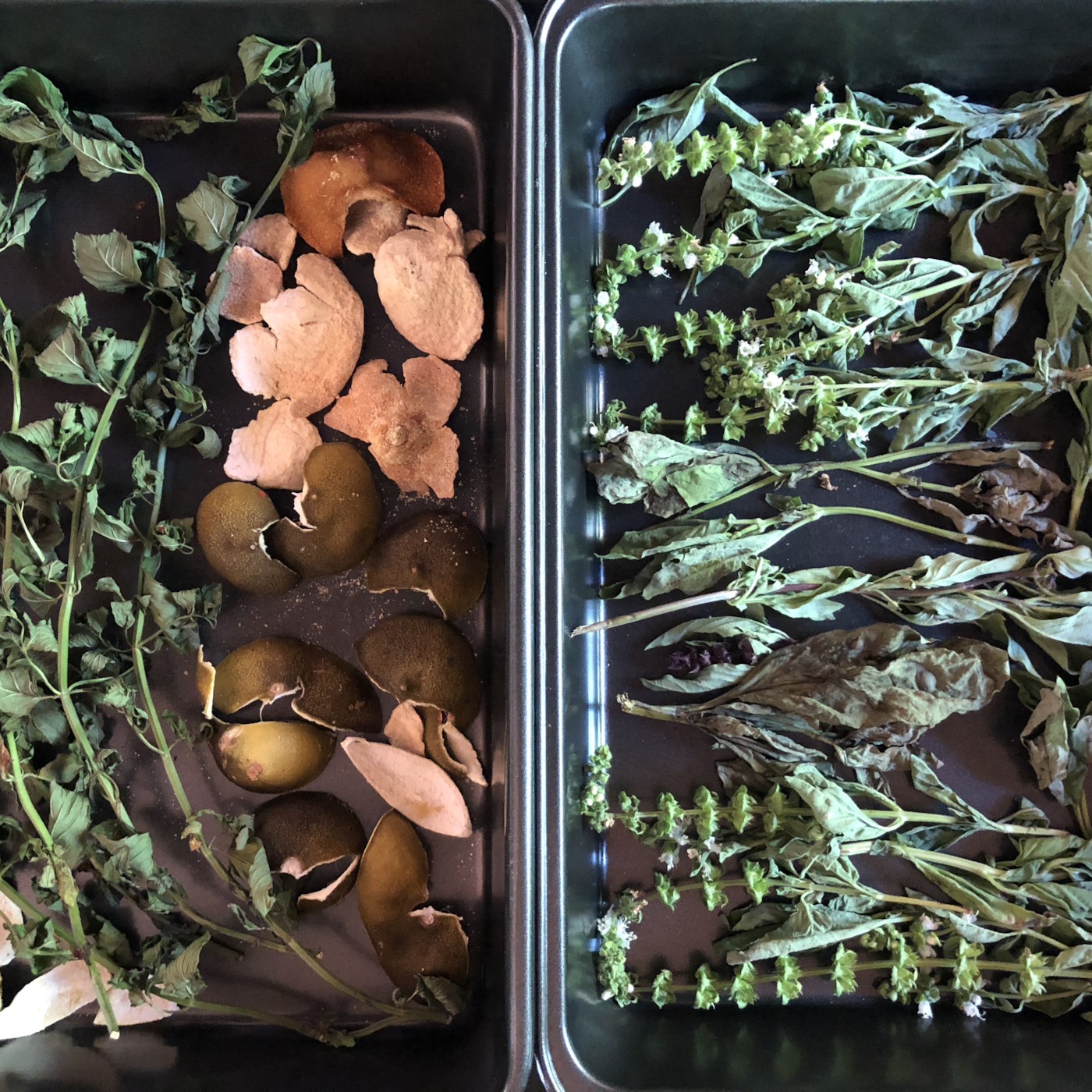 Running Through My Mind