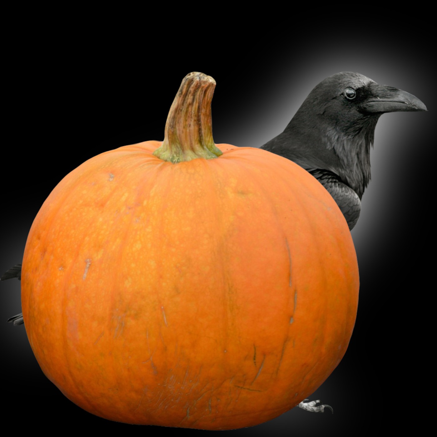 Running Through My Mind