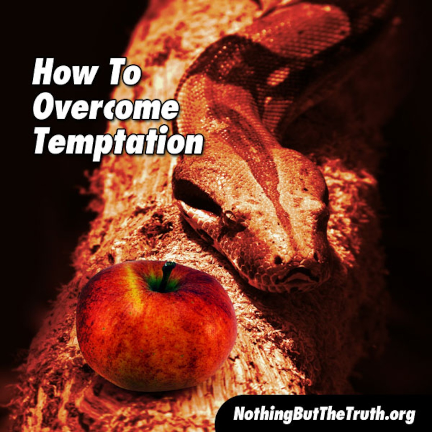 How To Overcome Temptation