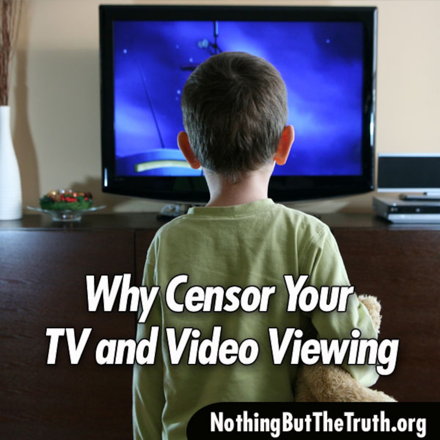 Why Censor Your TV And Video Viewing