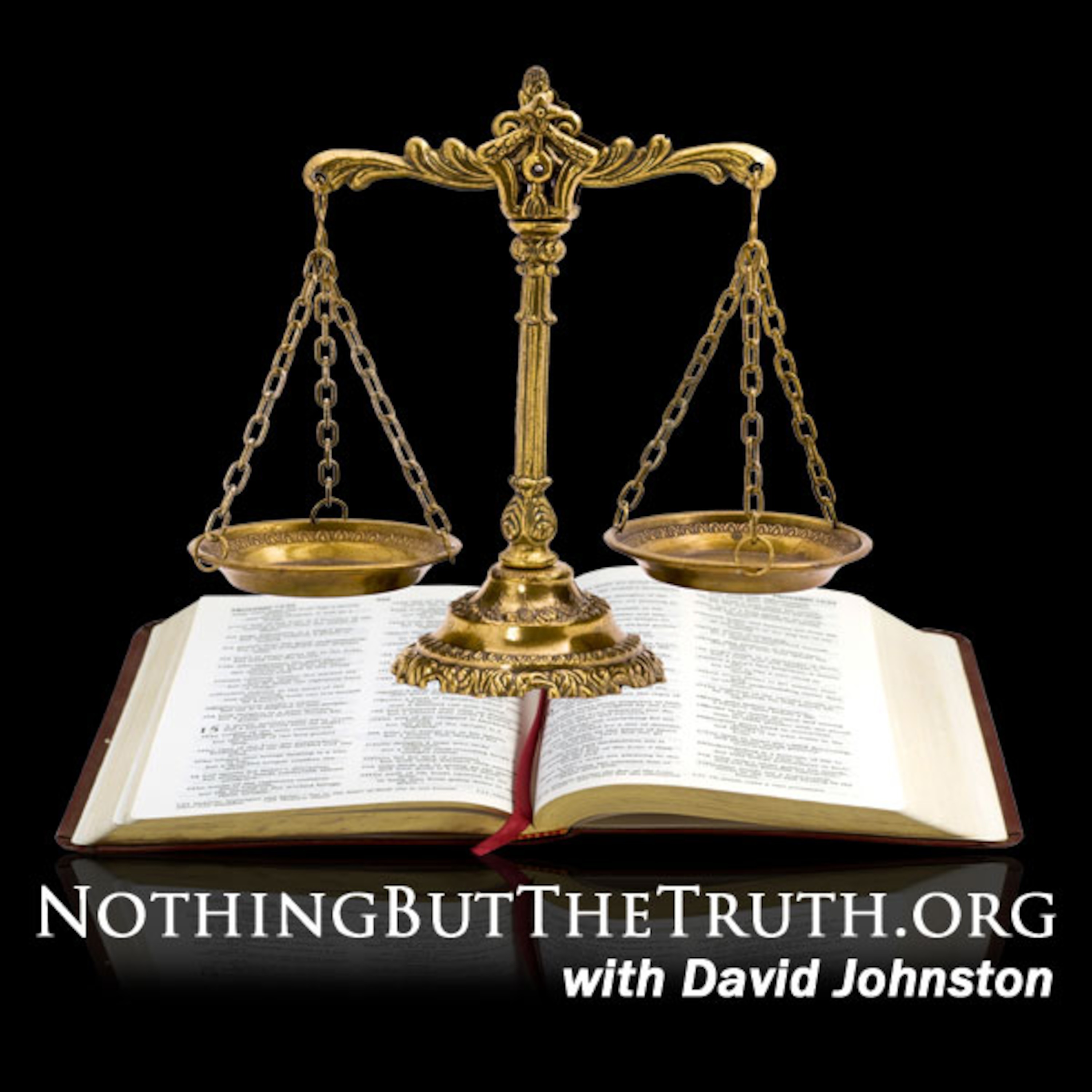 Nothing But The Truth Network podcast artwork