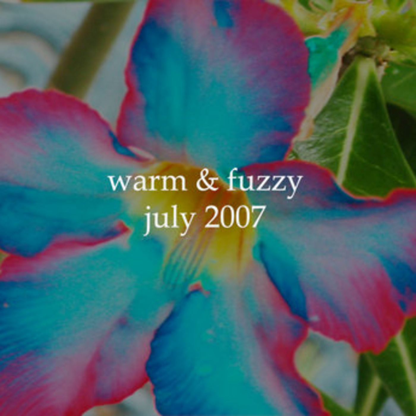 Episode 3: warm and fuzzy - july 2007